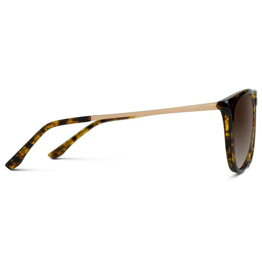 DREW-TORTOISE FRAME/ BROWN LENS