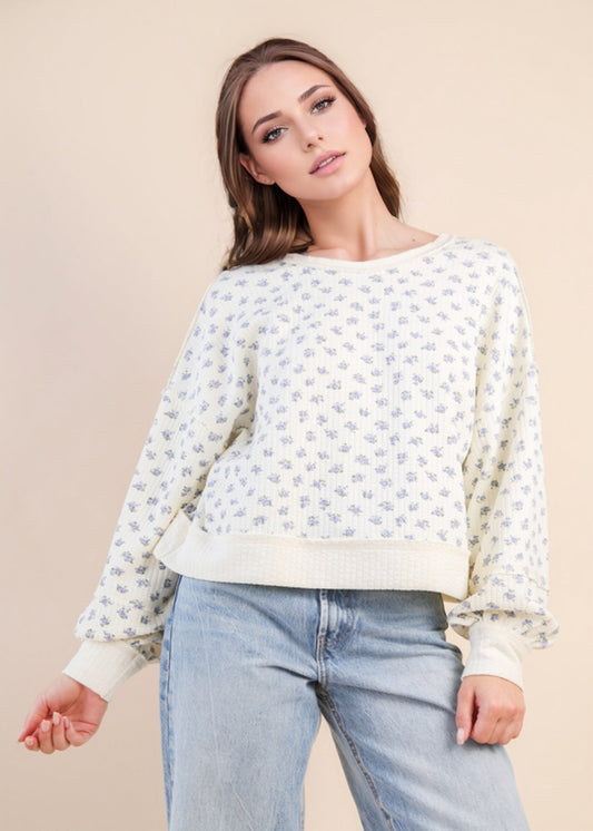 AVERY SWEATER - CREAM FLORAL