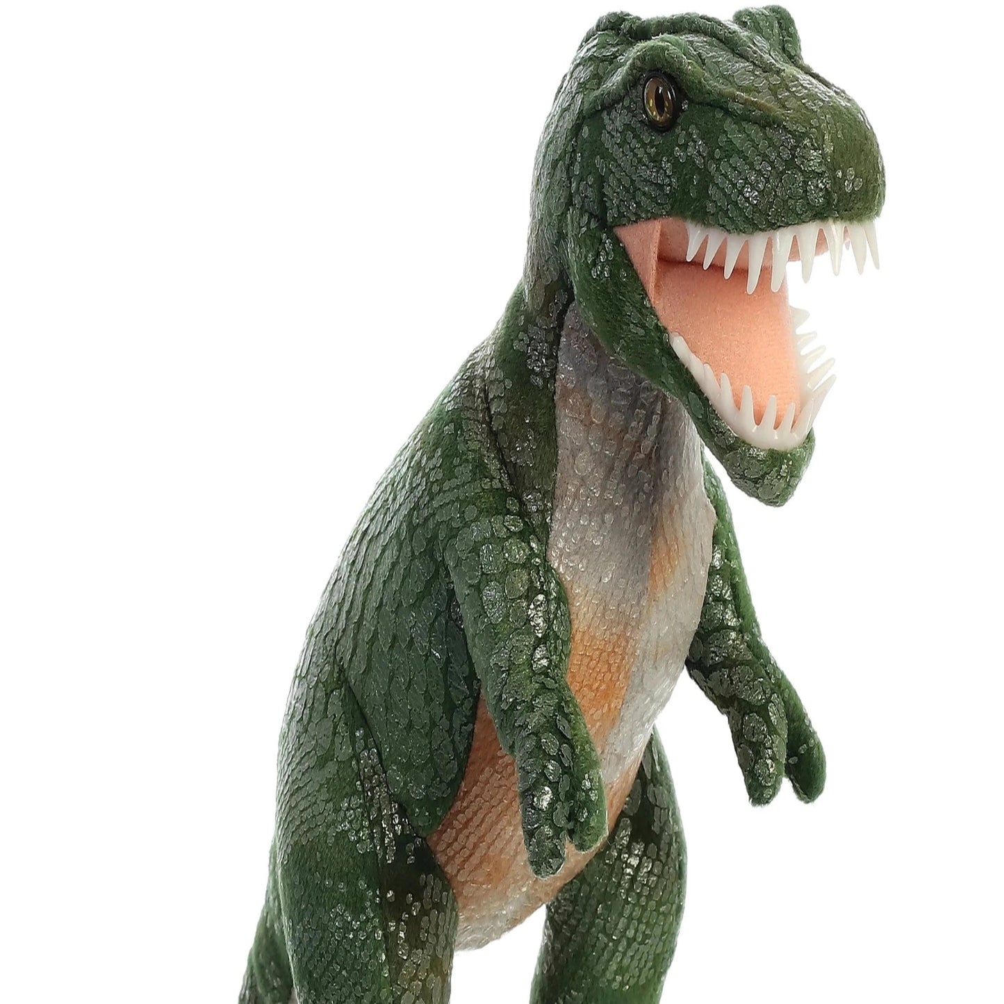 DINOS & DRAGONS-TYRANN REX