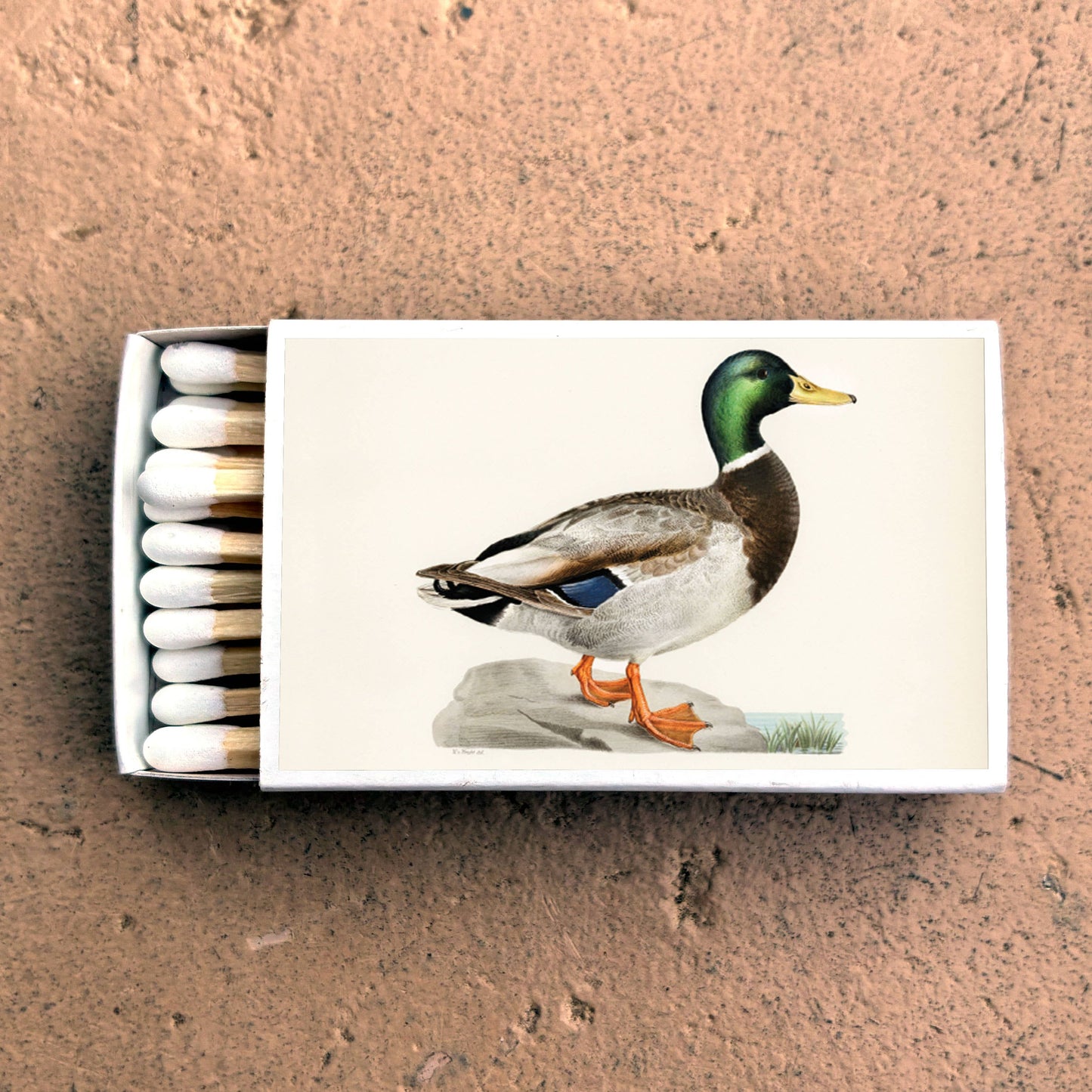 Matches - Mallard Duck