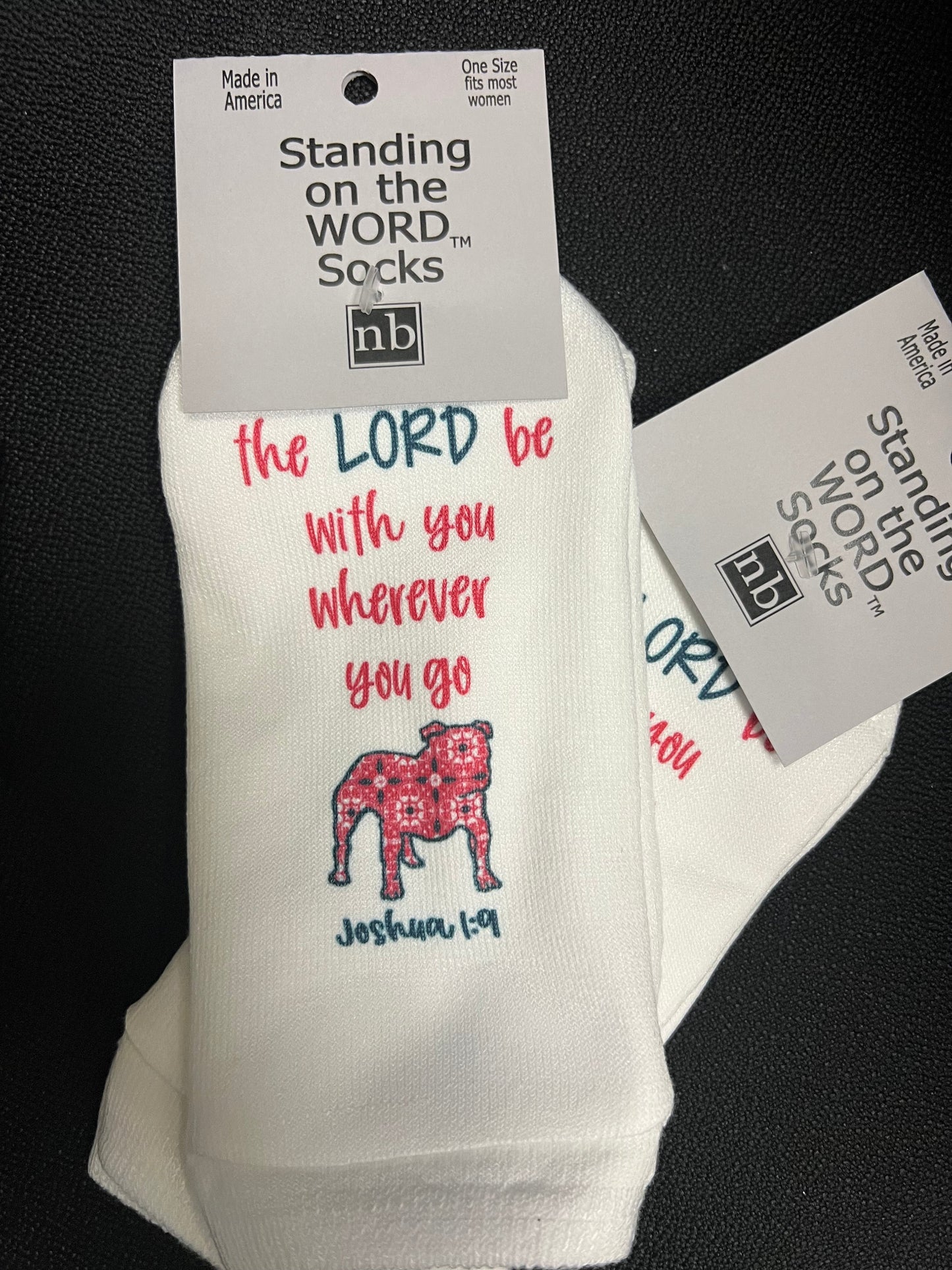 STANDING ON THE WORD SOCKS