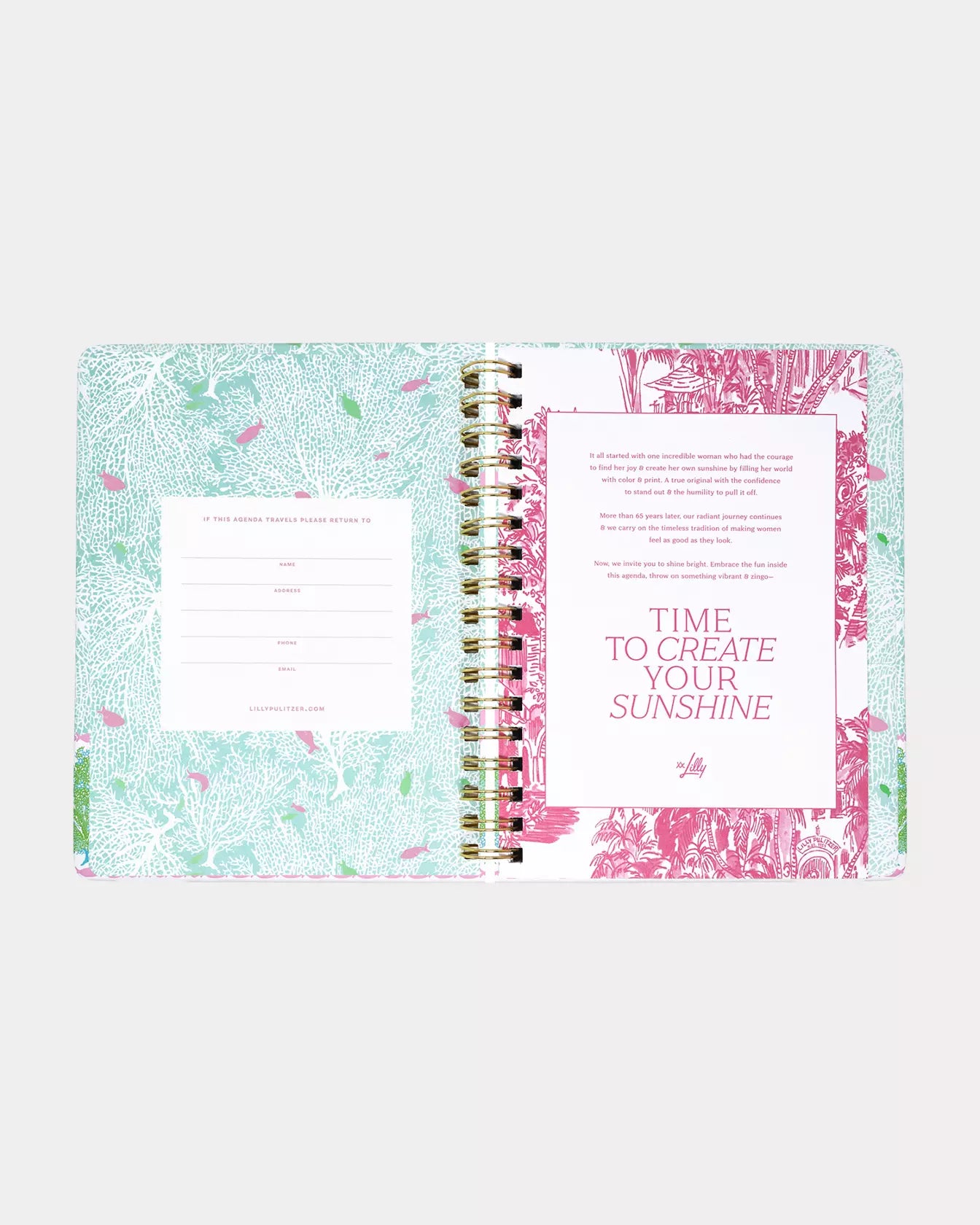 LARGE 17 MONTH AGENDA - MINT CONDITION BURST OF JOY