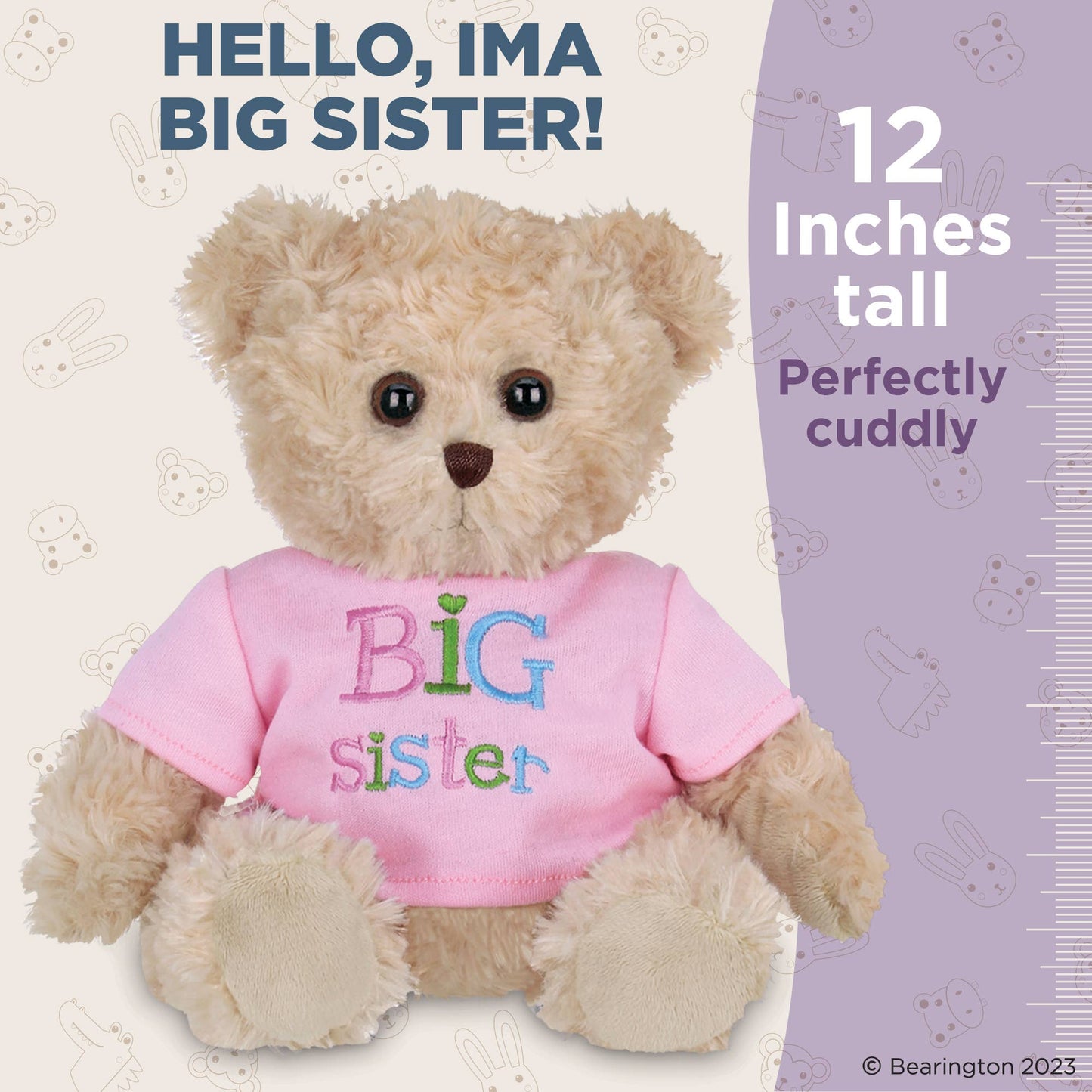 I'm a Big Sister Bear