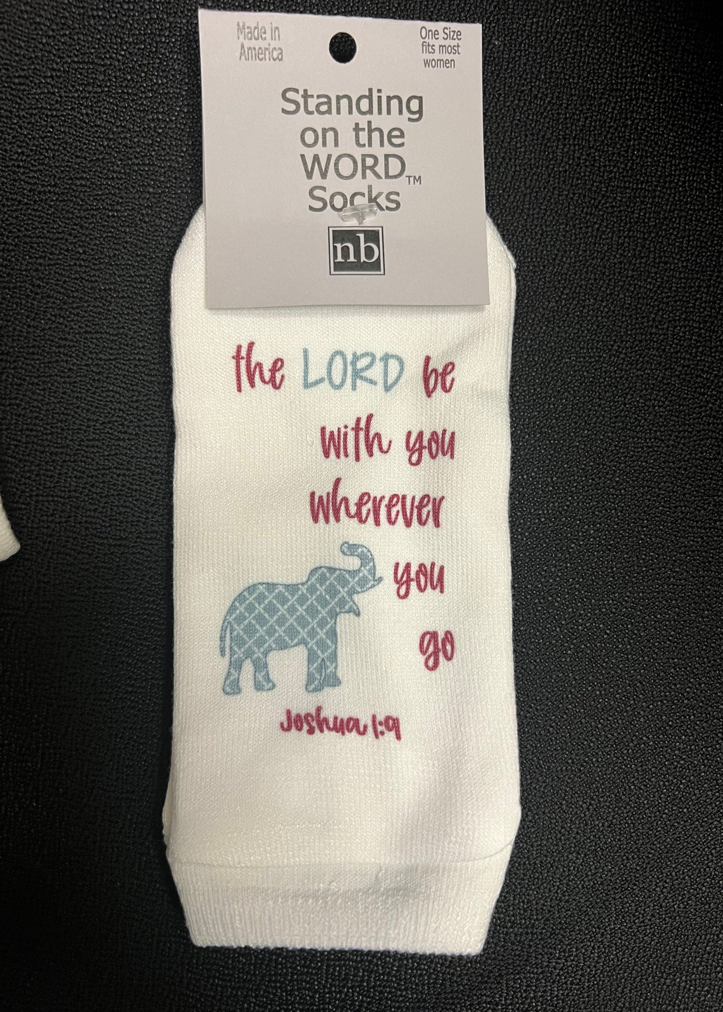 STANDING ON THE WORD SOCKS