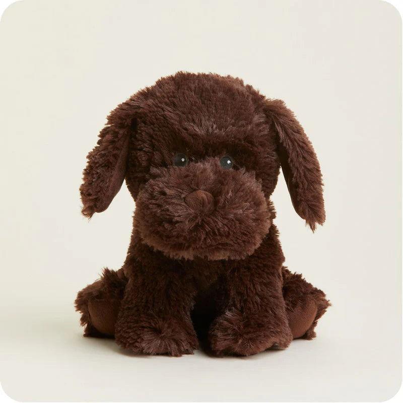 CHOCOLATE LABRADOR WARMIES