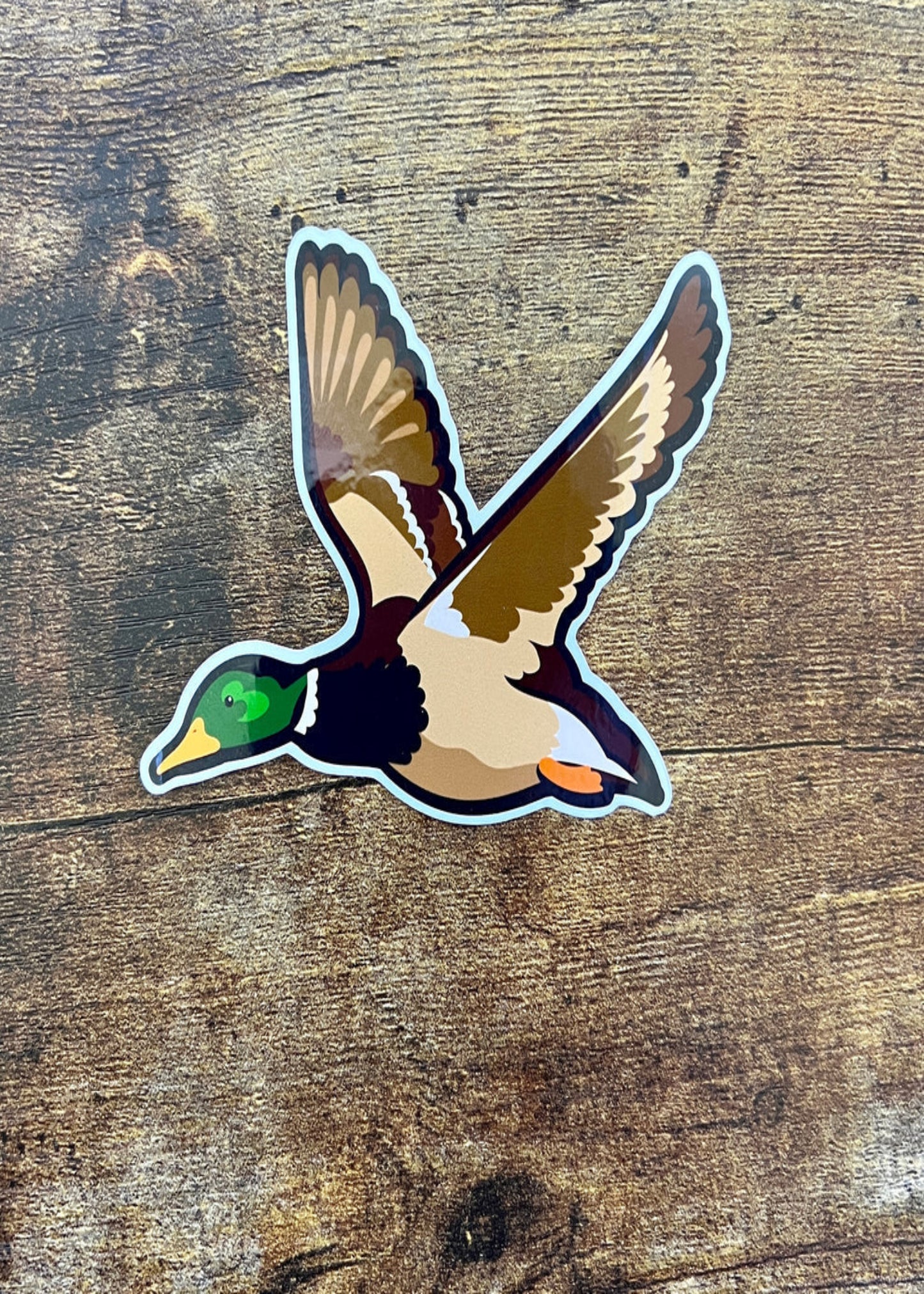 MALLARD STICKER