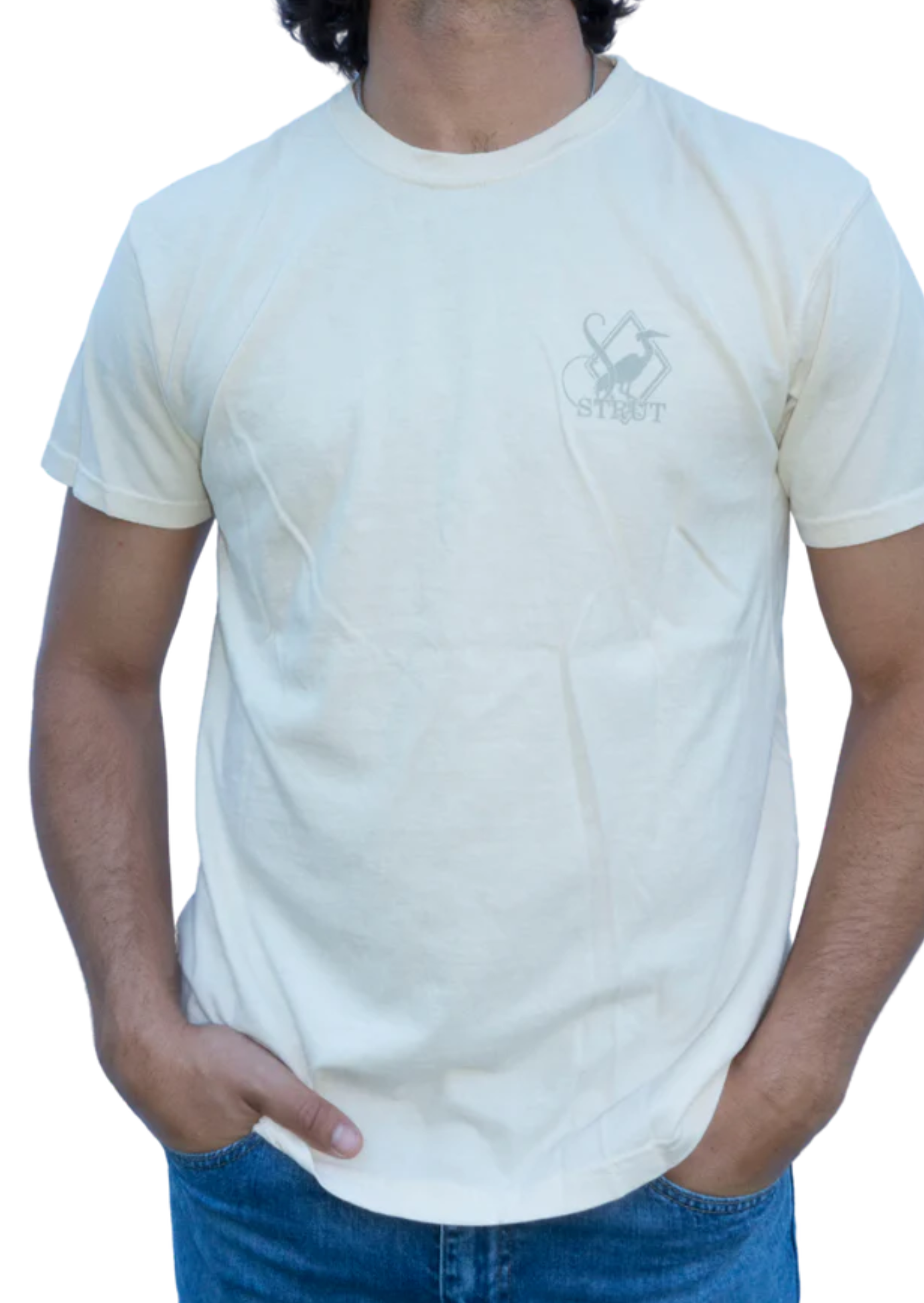 SCIENTIFIC MALLARD-IVORY DIS