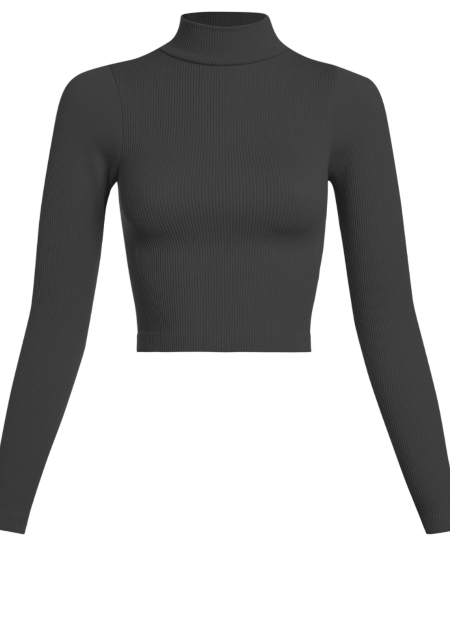 THICK RIB HIGHNECK LS TOP-BLACK : ONE SIZE