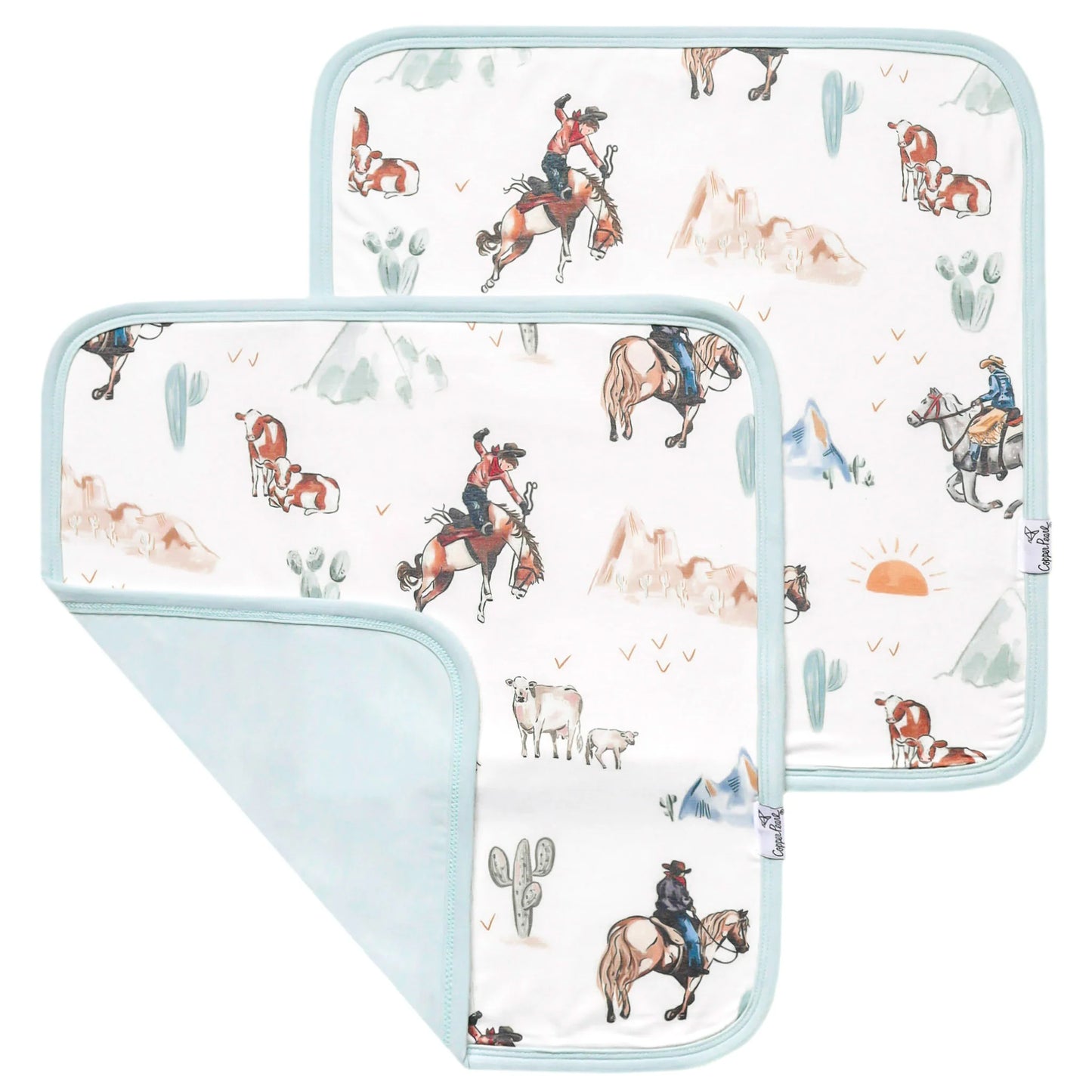 SECURITY BLANKET: BOONE
