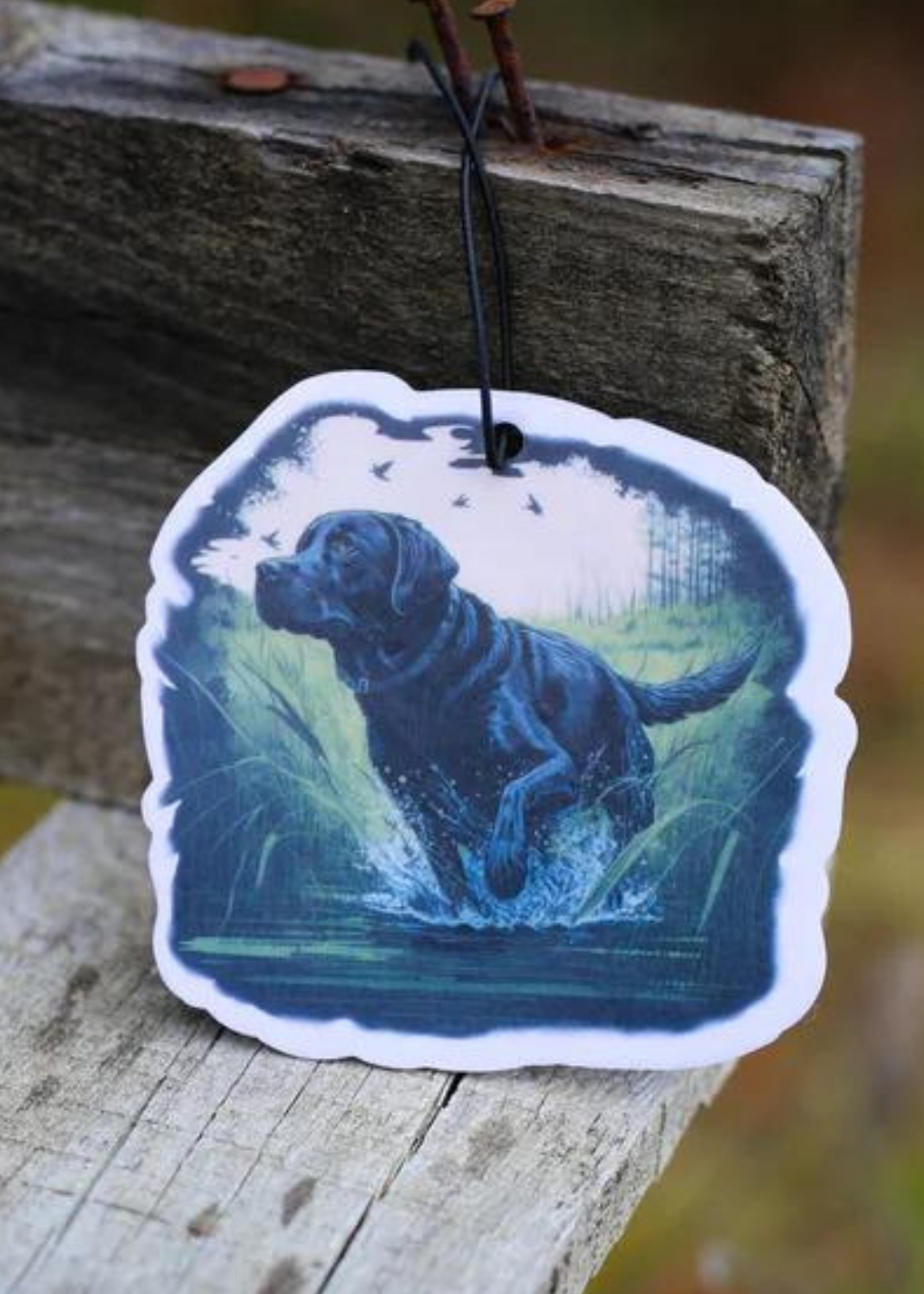 LAB AIR FRESHENER-FORREST RAIN