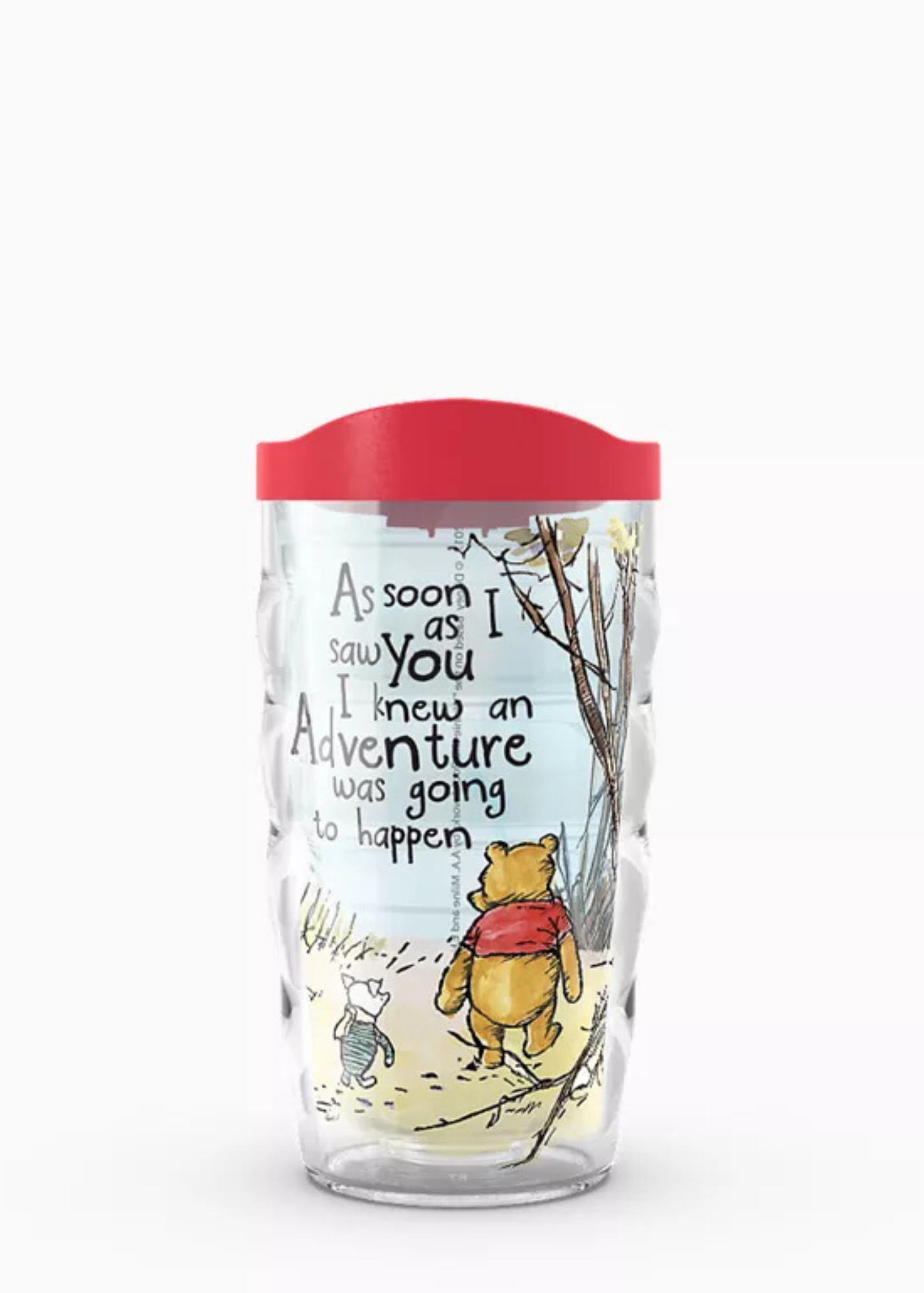 DISNEY WINNIE THE POOH ADVENTURE - 10 OZ