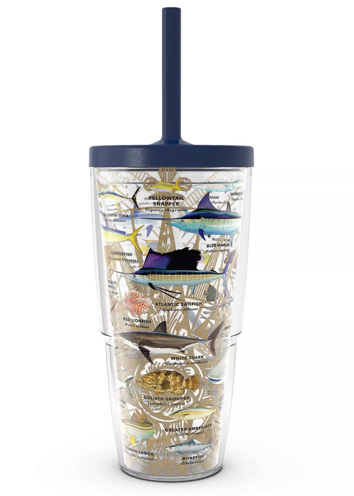 GUY HARVEY® - CHARTS WITH STRAW - 24 OZ