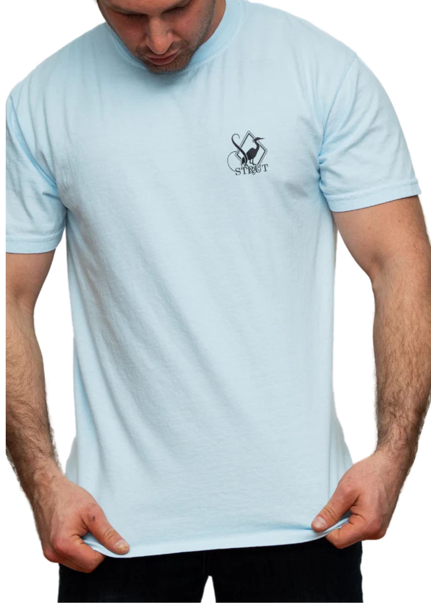 HUNTING CARDS CHAMBRAY DIS