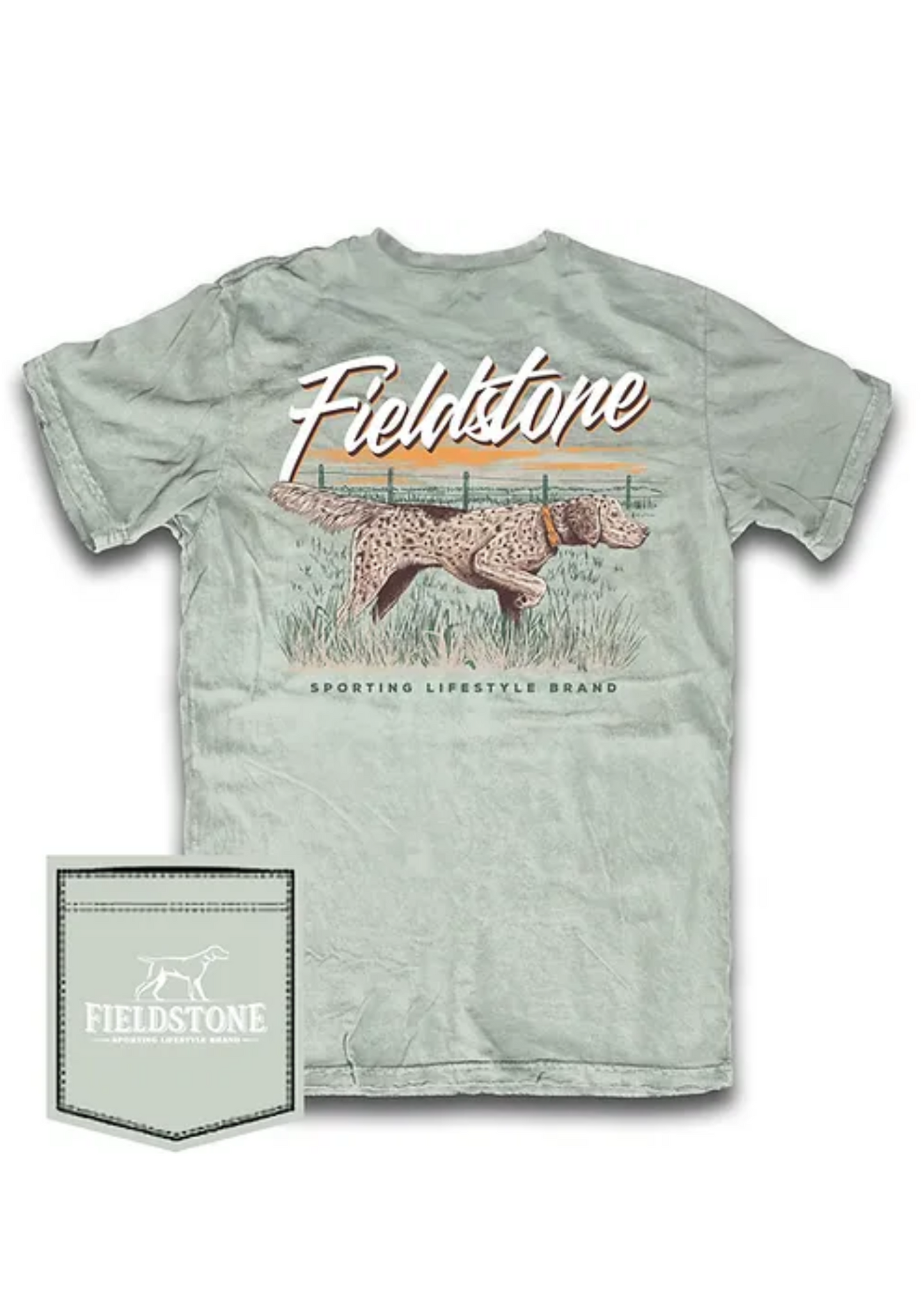 ENGLISH SETTER : BAY