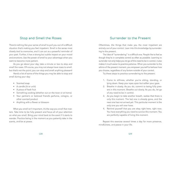 The Book of Patience: 250 Ways to a More Patient You