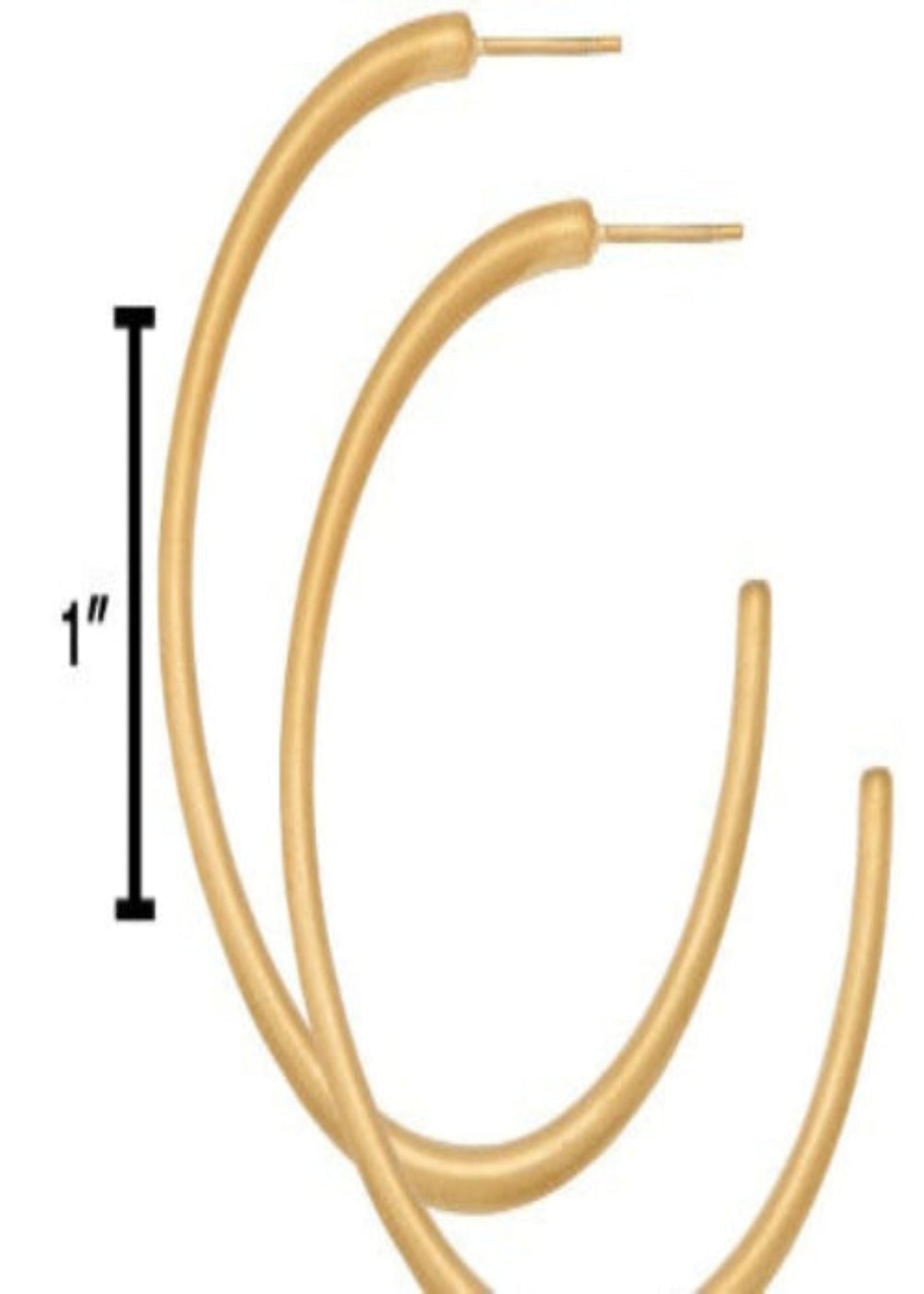 MED HOLLOW HOOP-14KT MATTE GOLD : 50MM/3MM