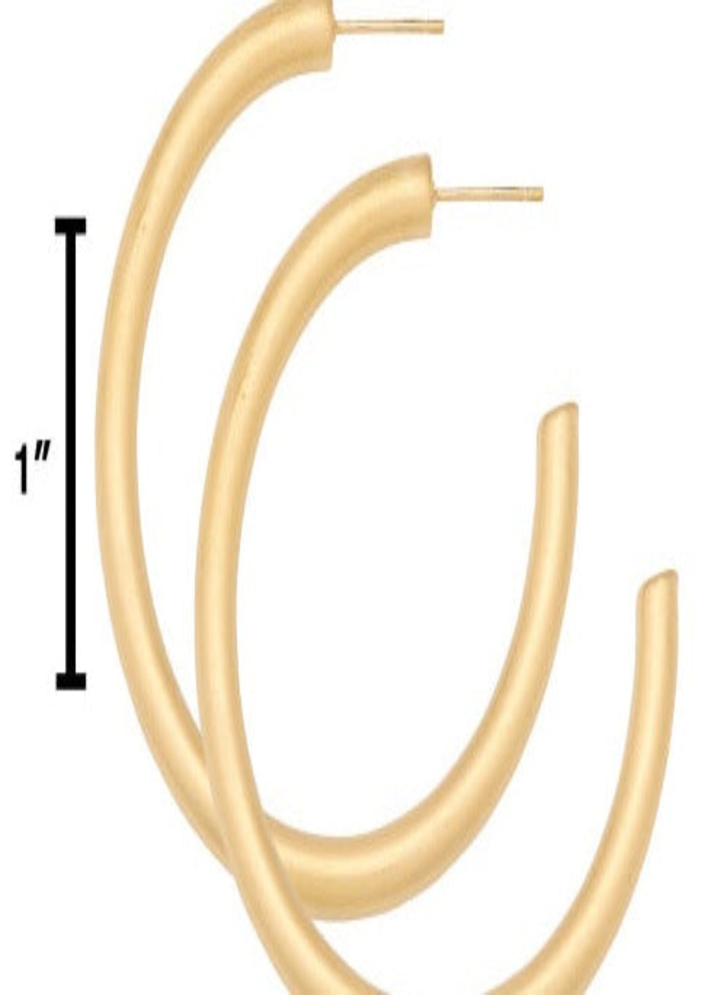 MED HOLLOW HOOP-14KT MATTE GOLD : 50MM/5MM