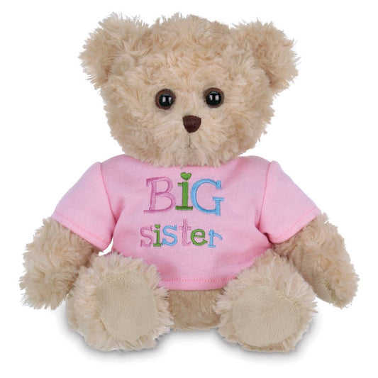 I'm a Big Sister Bear