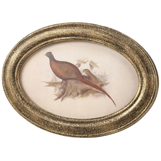 FRAMED ART - PHEASANT