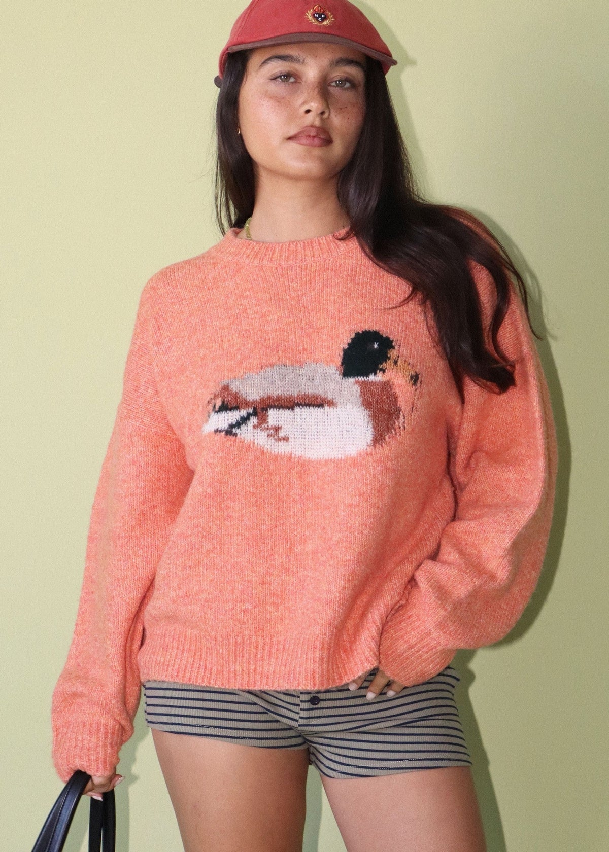 Duck Graphic Knit Sweater - CIDER