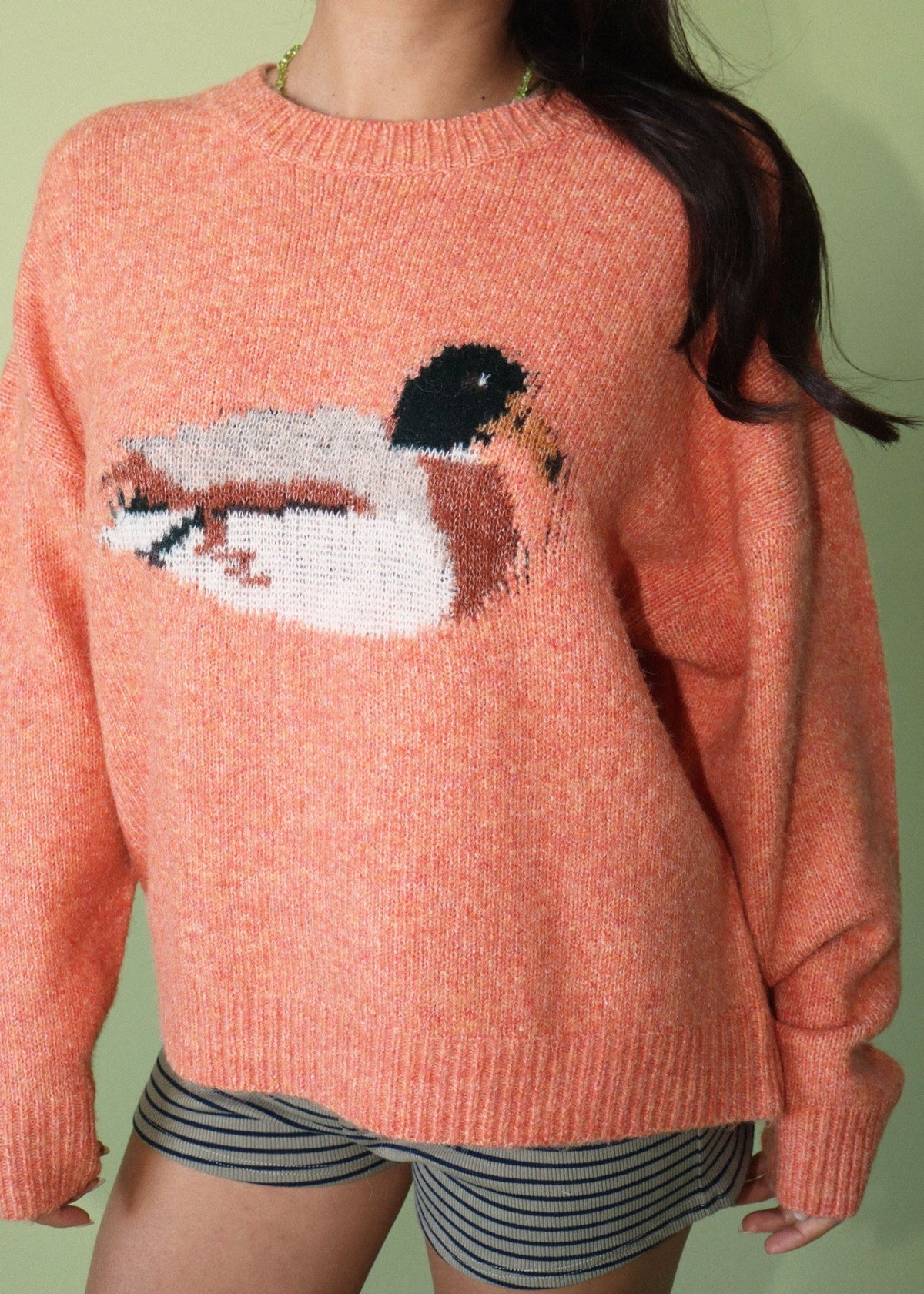 Duck Graphic Knit Sweater - CIDER