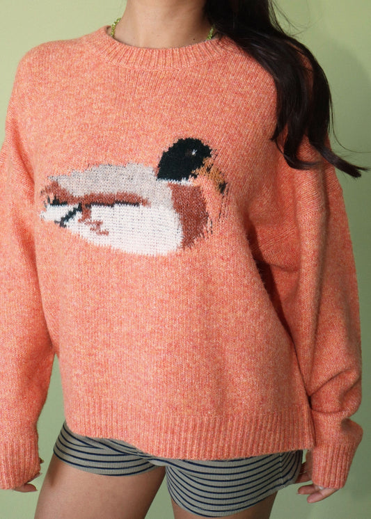 Duck Graphic Knit Sweater - CIDER