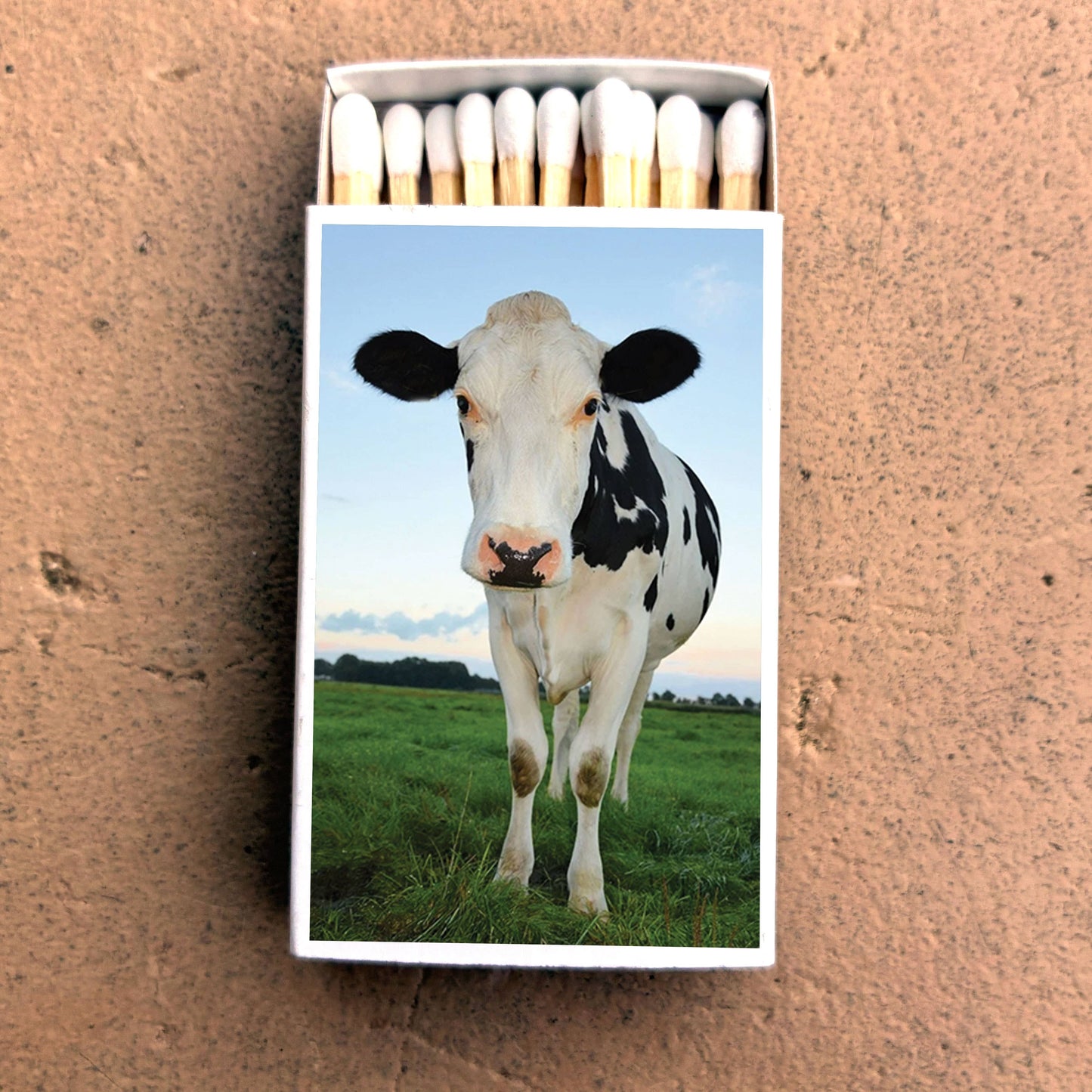 Matches - Cow Matchboxes