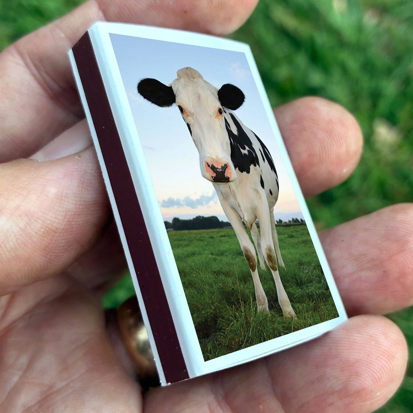 Matches - Cow Matchboxes