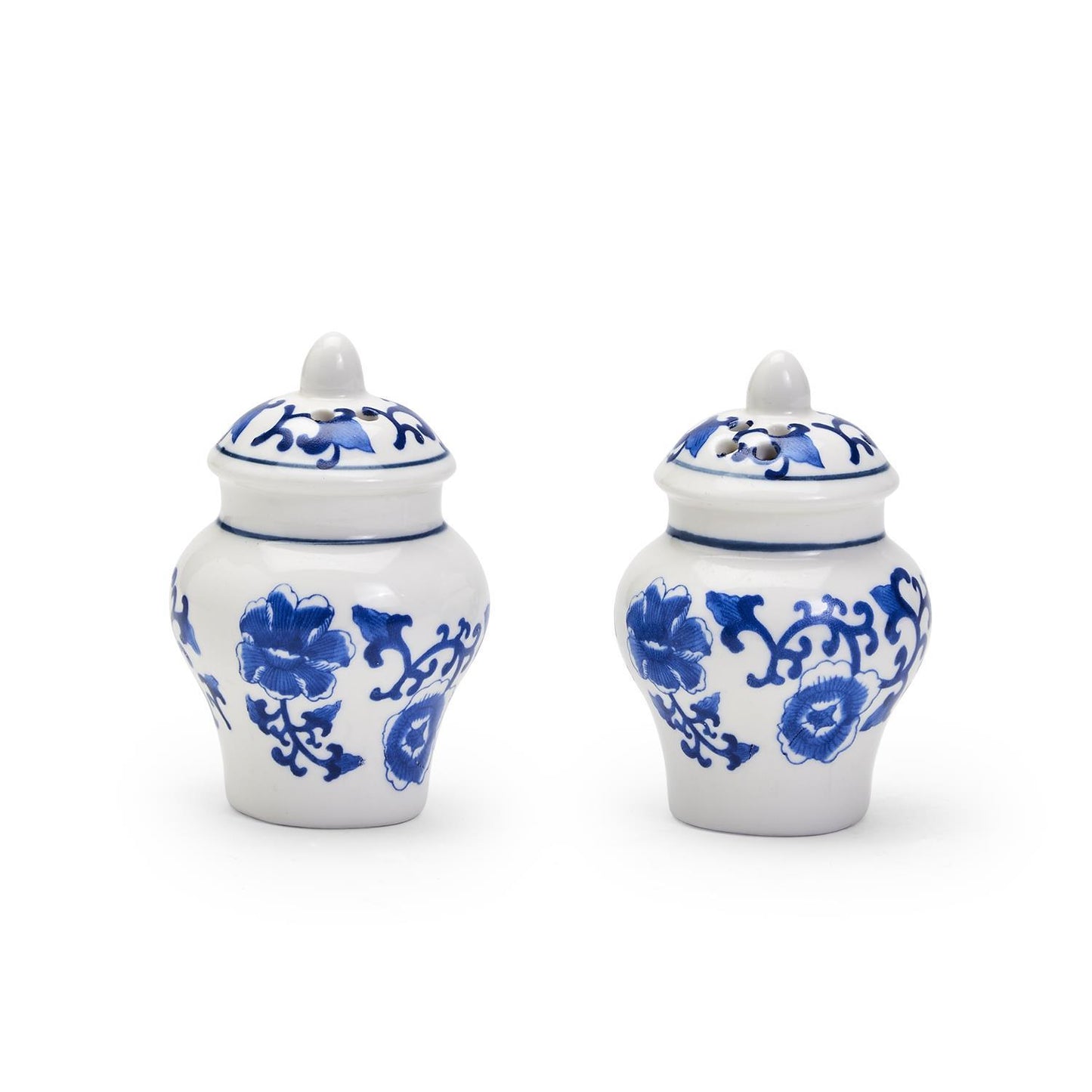 Mini Ginger Jar Salt and Pepper Shaker