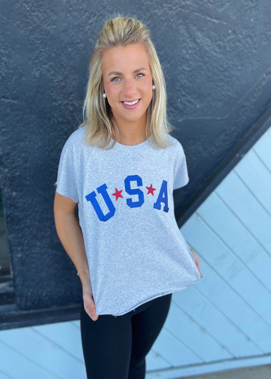 USA T SHIRT - ASH GREY