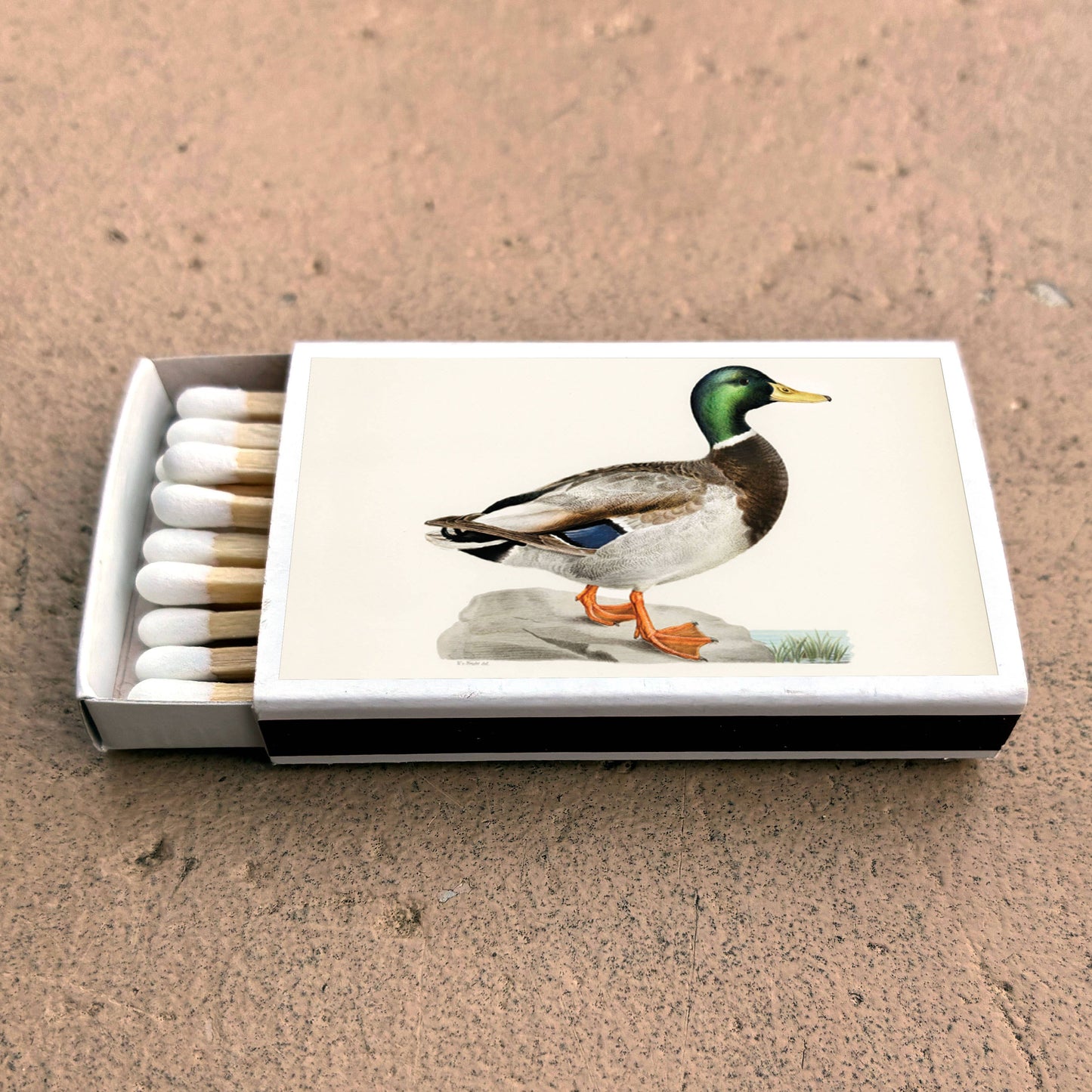 Matches - Mallard Duck