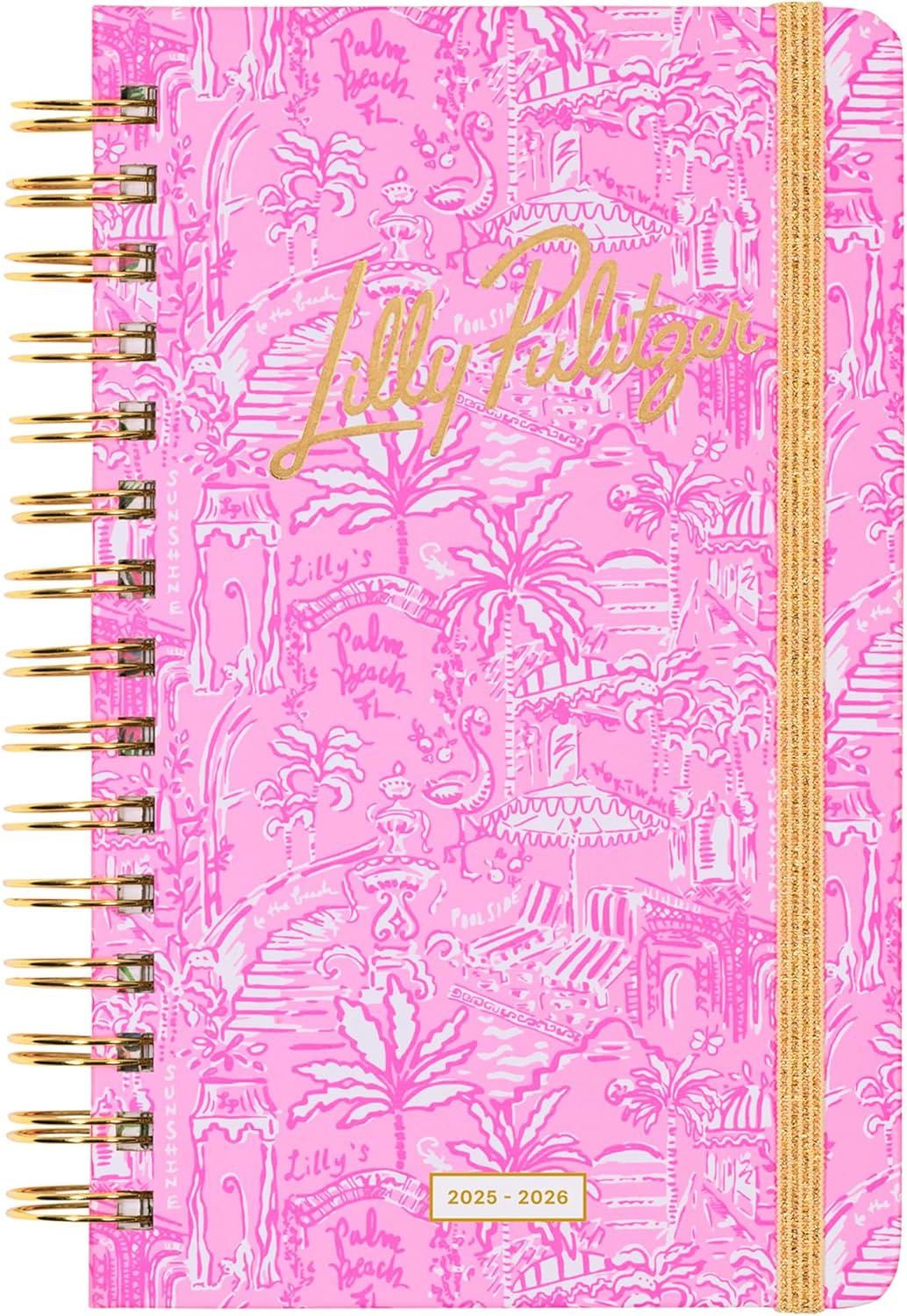 LARGE 17 MONTH AGENDA- PALM BEACH PLAYGROUND