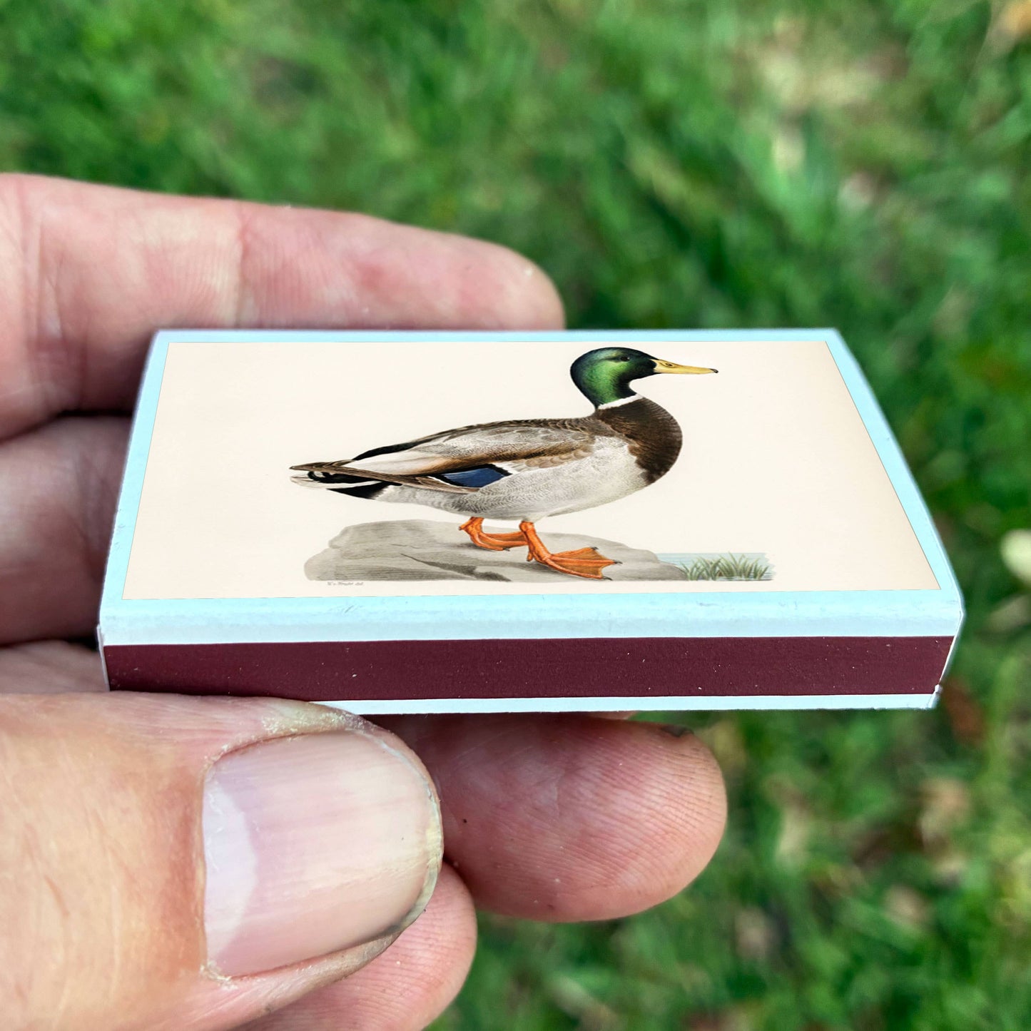Matches - Mallard Duck