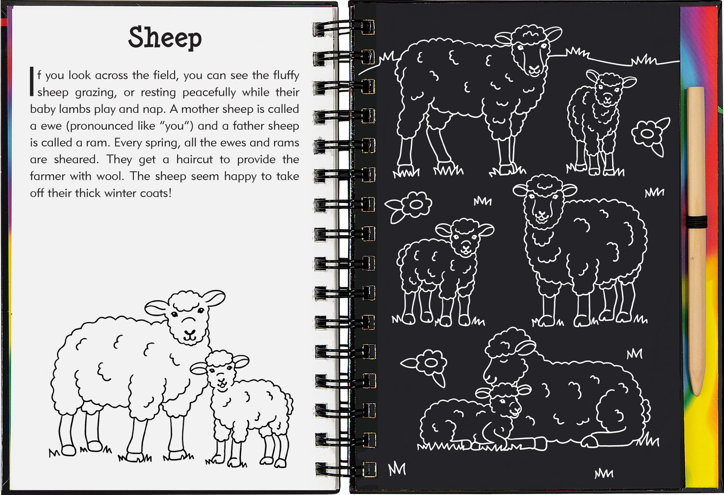 On The Farm Scratch and Sketch
