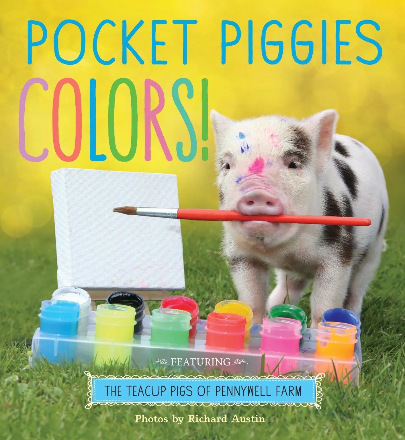 POCKET PIGGIES - COLORS