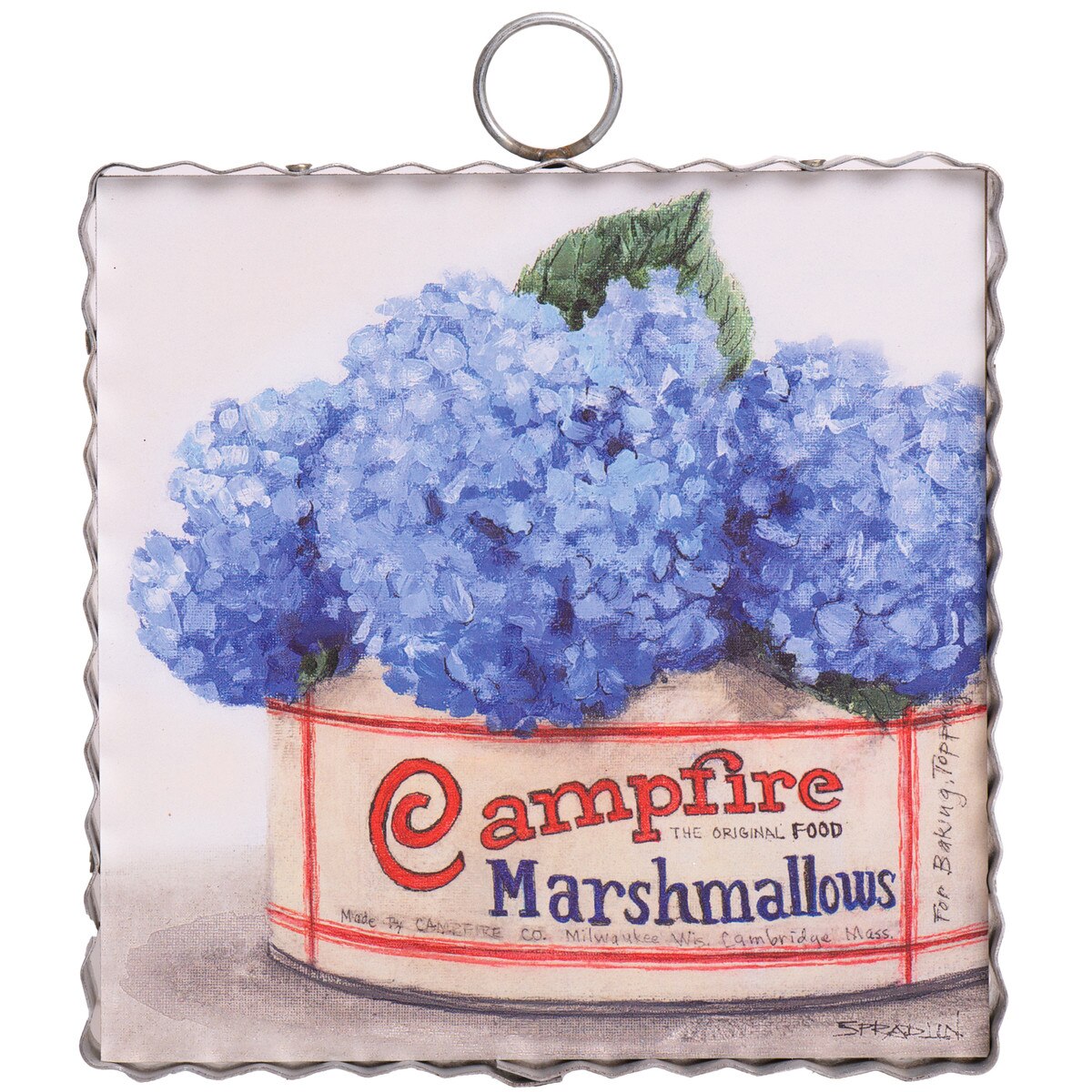 MINI GALLERY CAMPFIRE HYDRANGEAS