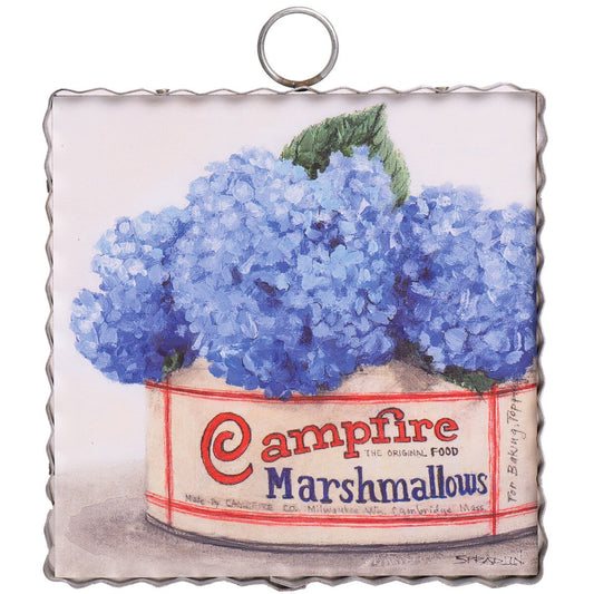 MINI GALLERY CAMPFIRE HYDRANGEAS