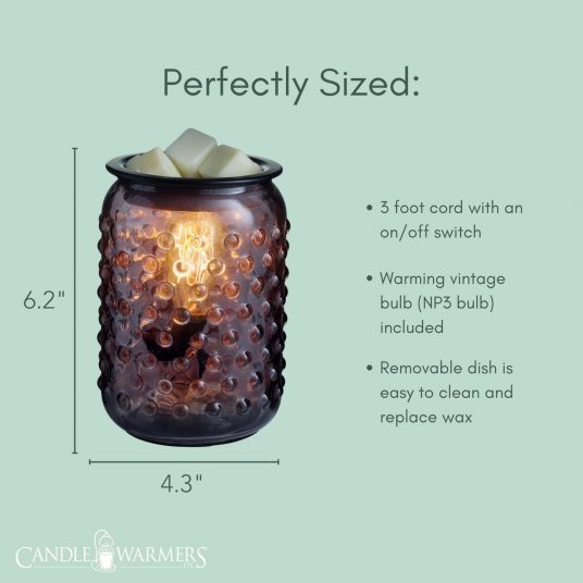 Vintage Style Bulb Illumination Fragrance WarmeR