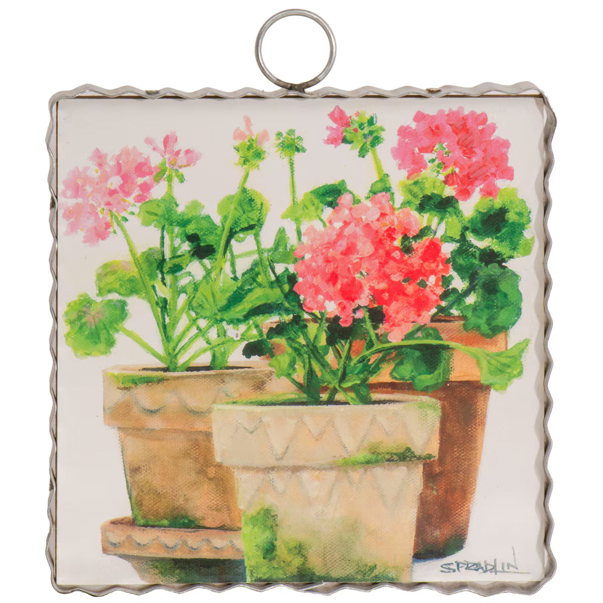MINI BECK'S - POT OF GERANIUMS