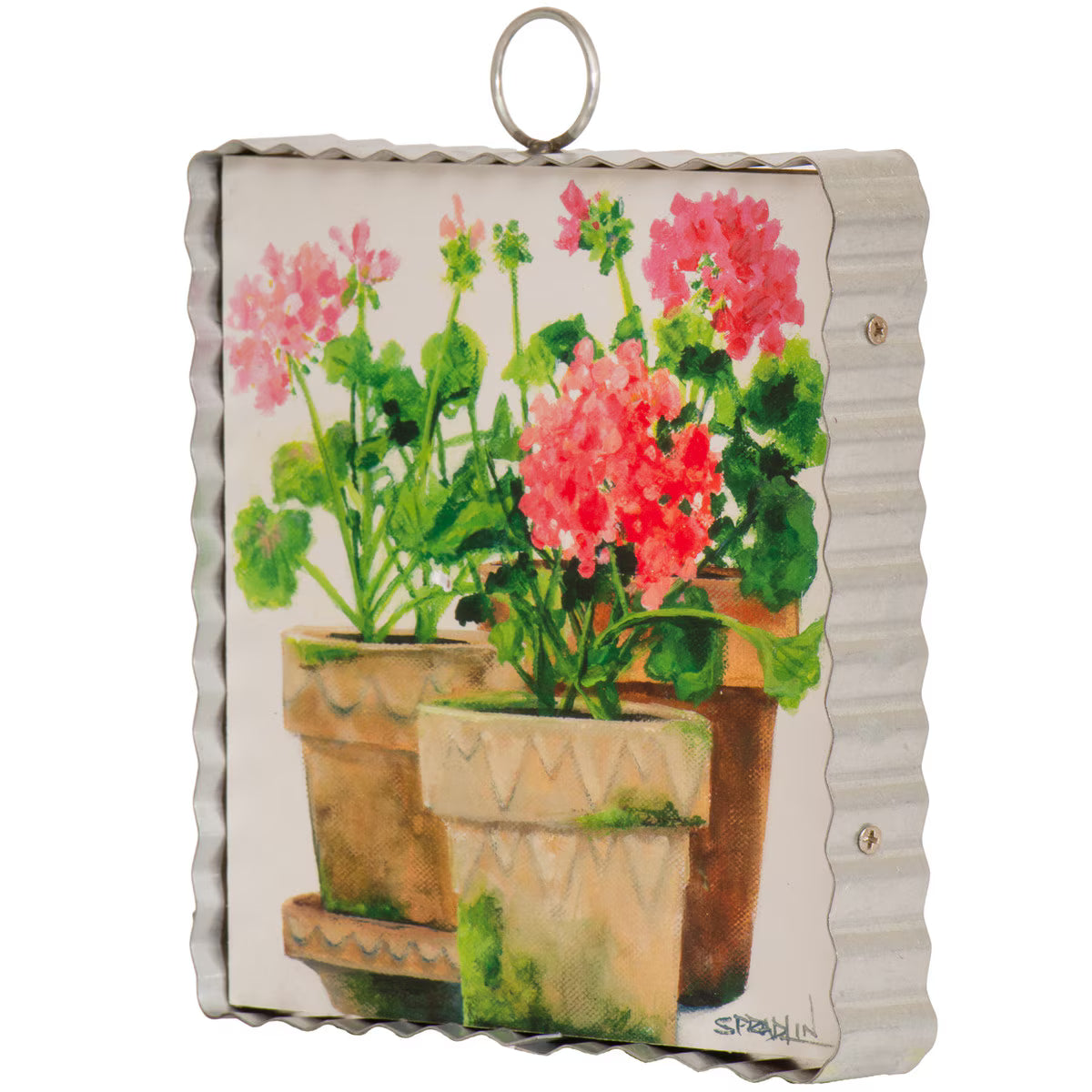 MINI BECK'S - POT OF GERANIUMS