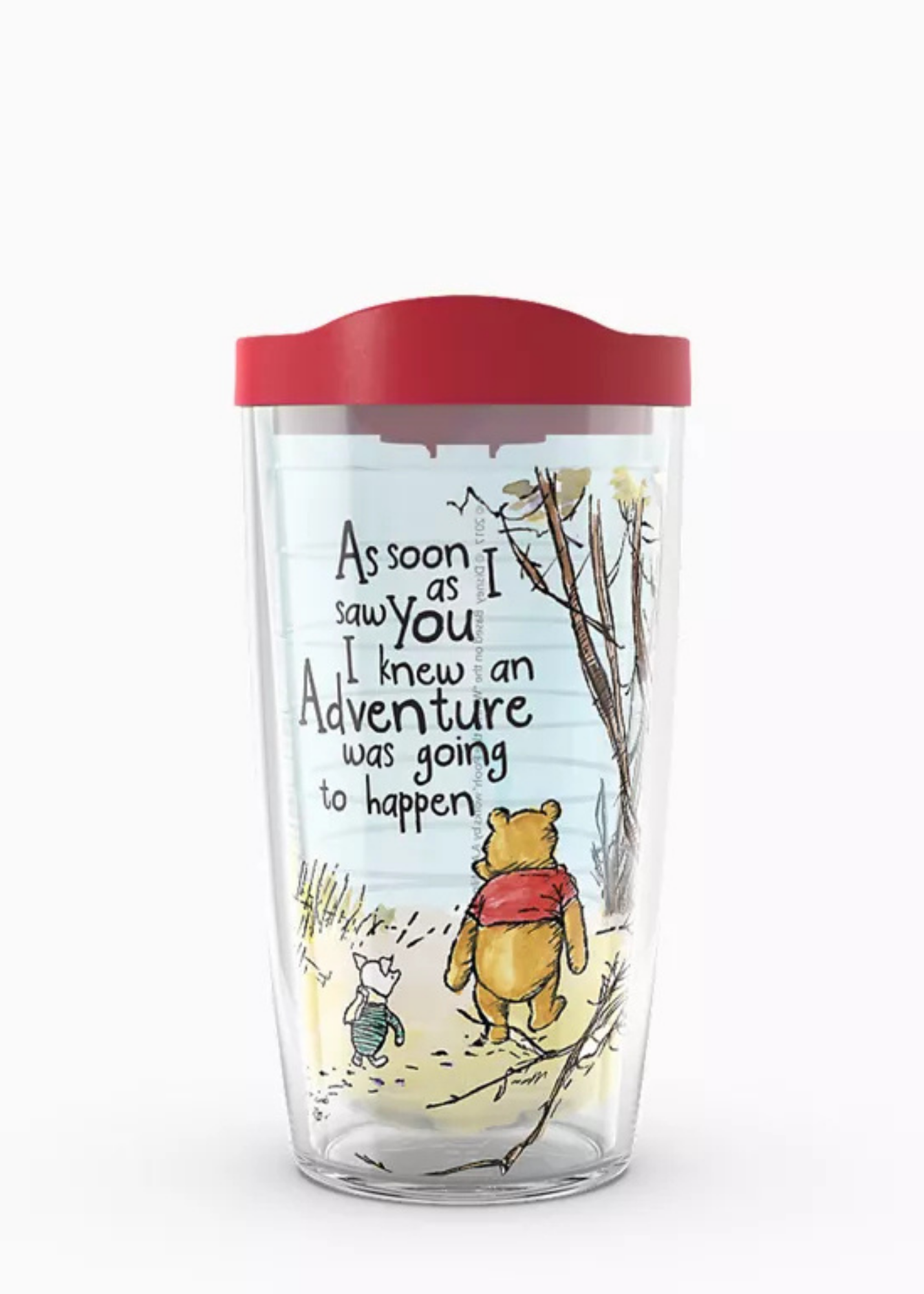 DISNEY WINNIE THE POOH ADVENTURE-16 OZ