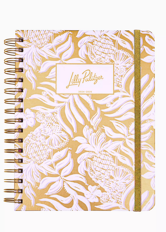 17 MONTH AGENDA : GOLD METALLIC