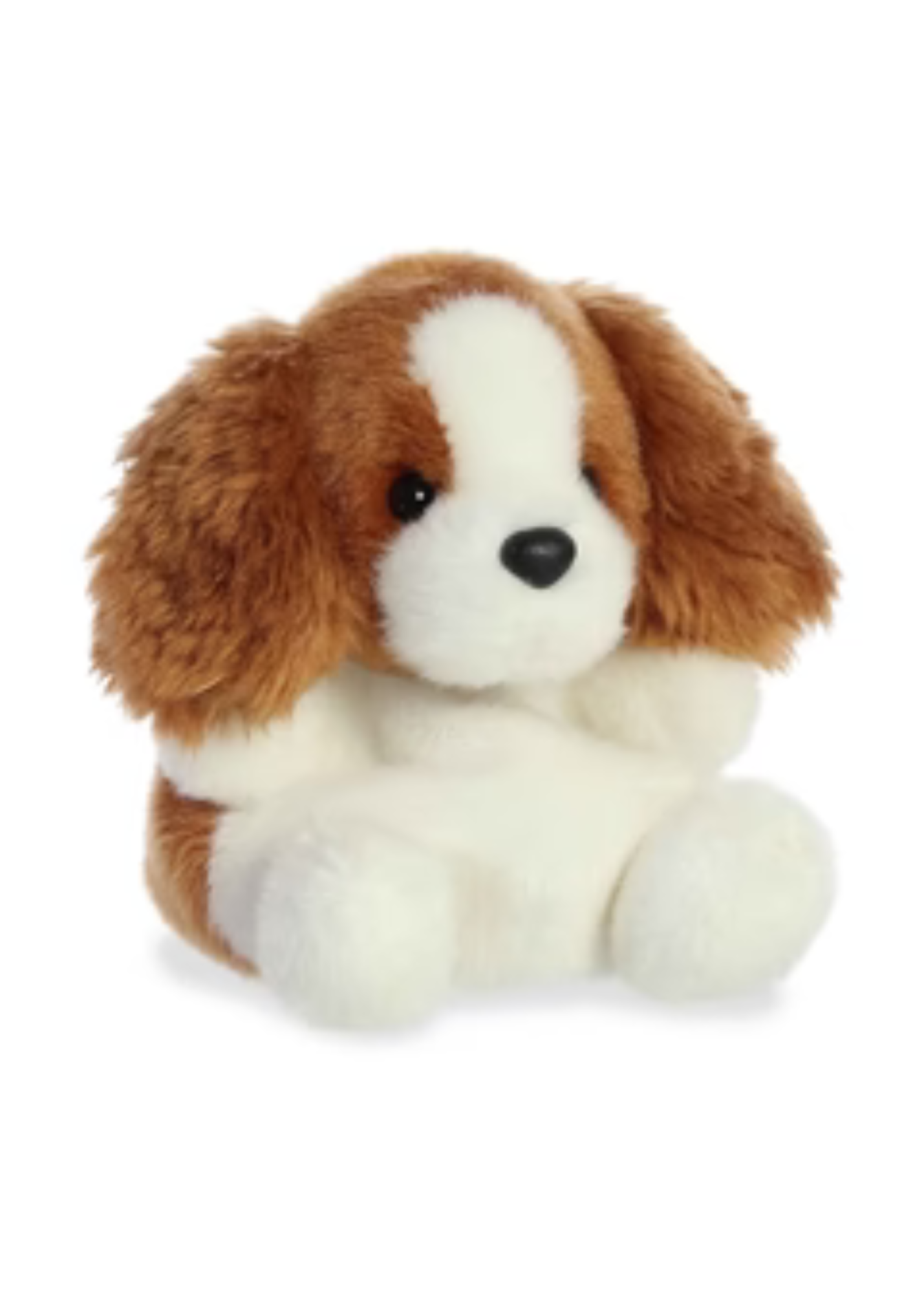 PALM PALS-LADY SPANIEL