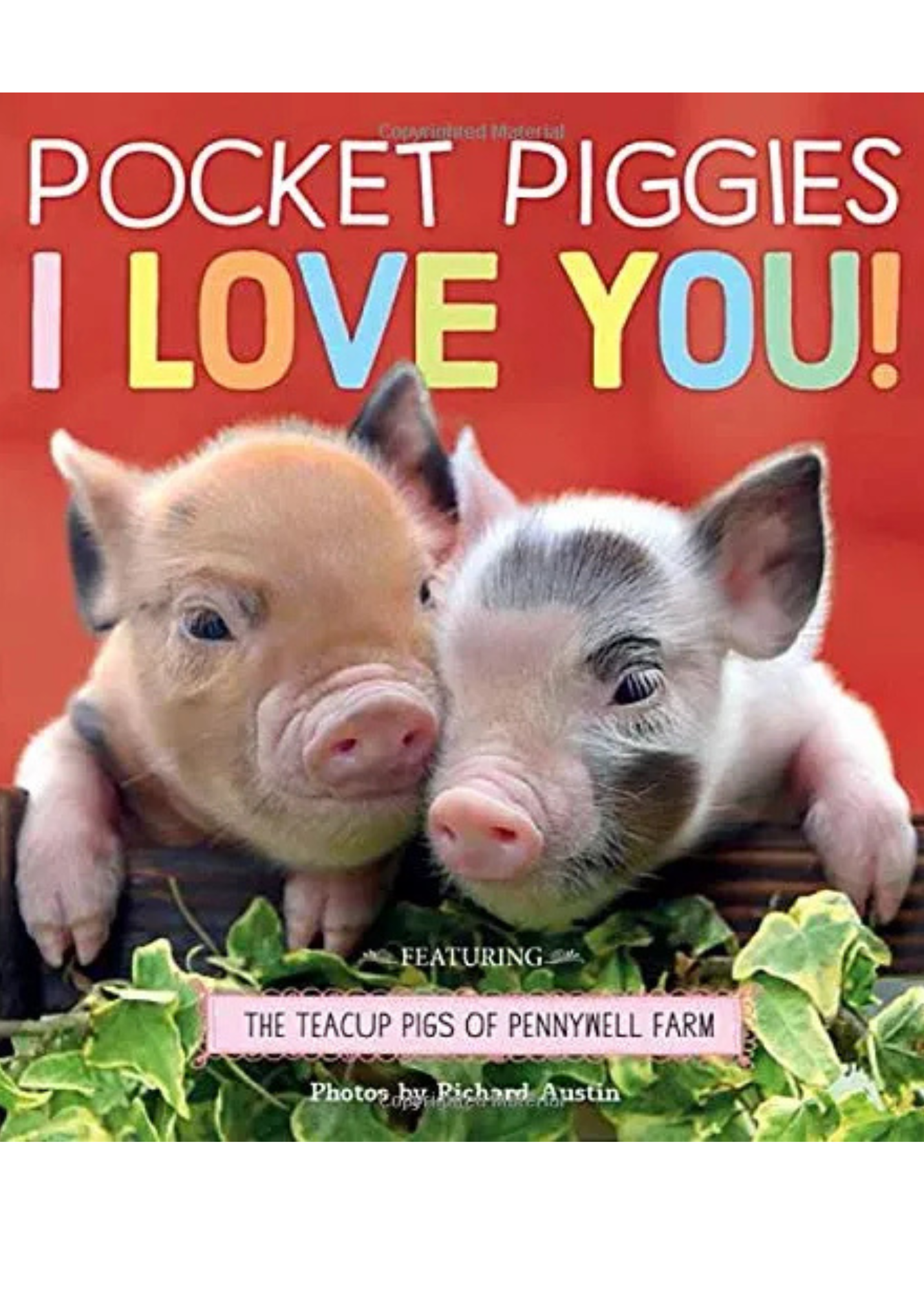 POCKET PIGGIES - I LOVE YOU