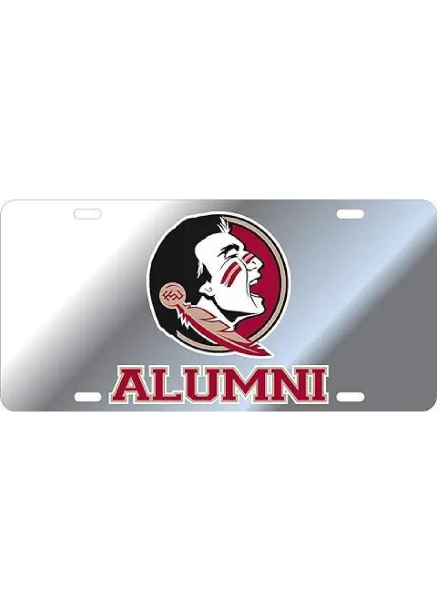 CAR TAG-FSU17300