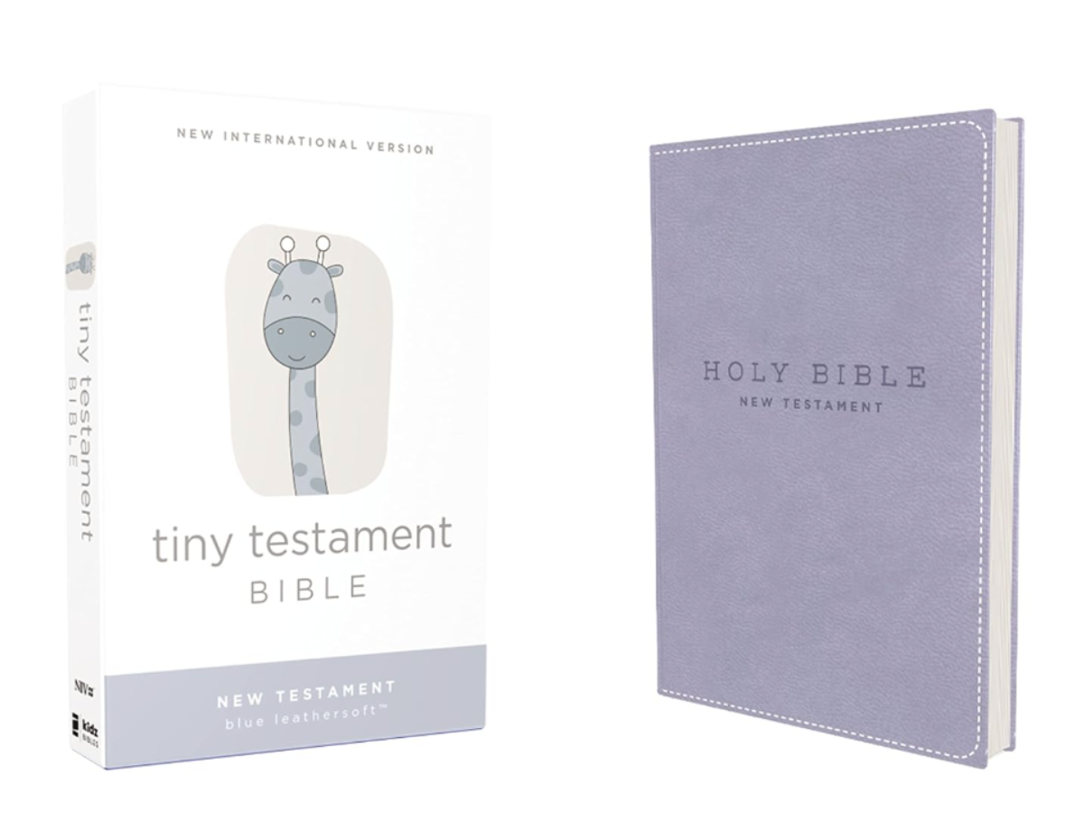 NIV TINT TESTAMENT BIBLE-BLUE