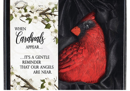 GIFT BOXED CARDINAL