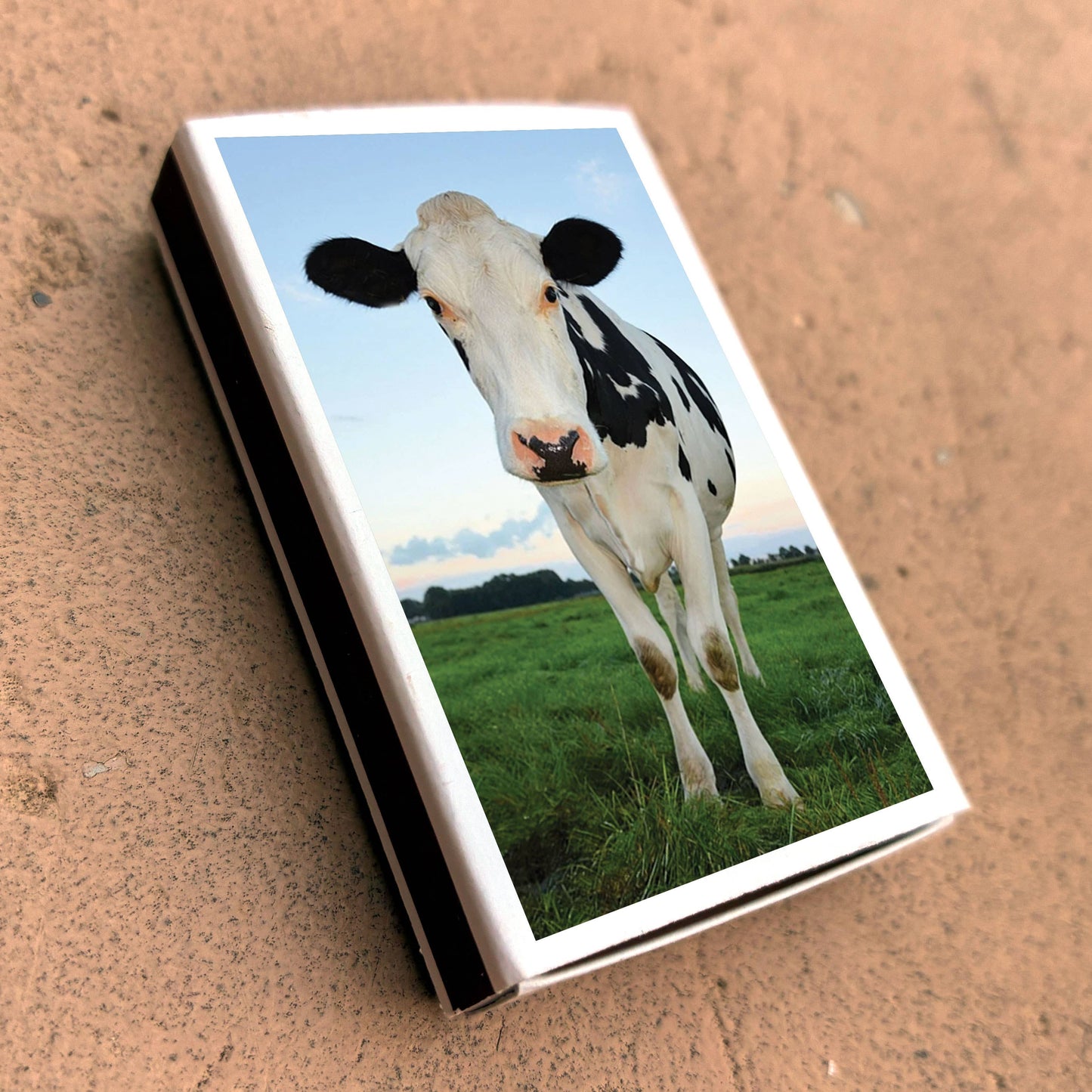 Matches - Cow Matchboxes