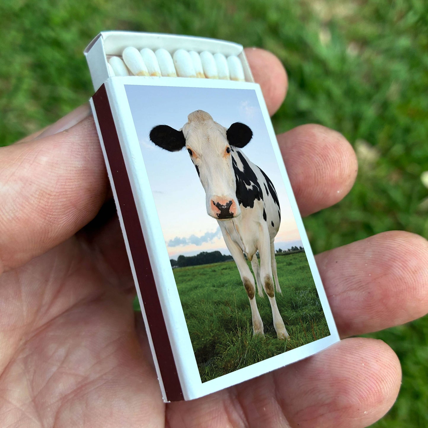 Matches - Cow Matchboxes