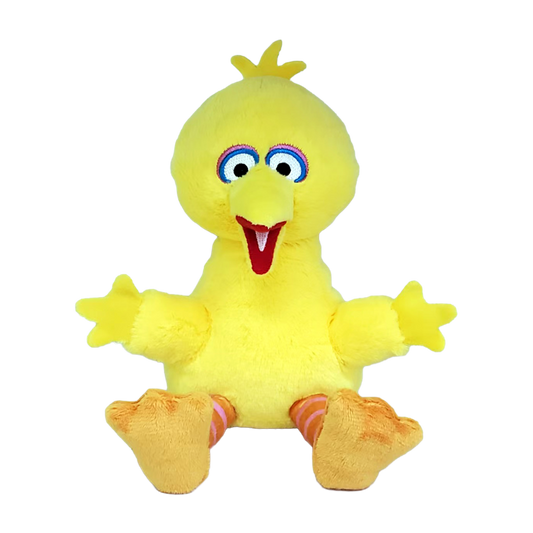 BIG BIRD - FLOPPY